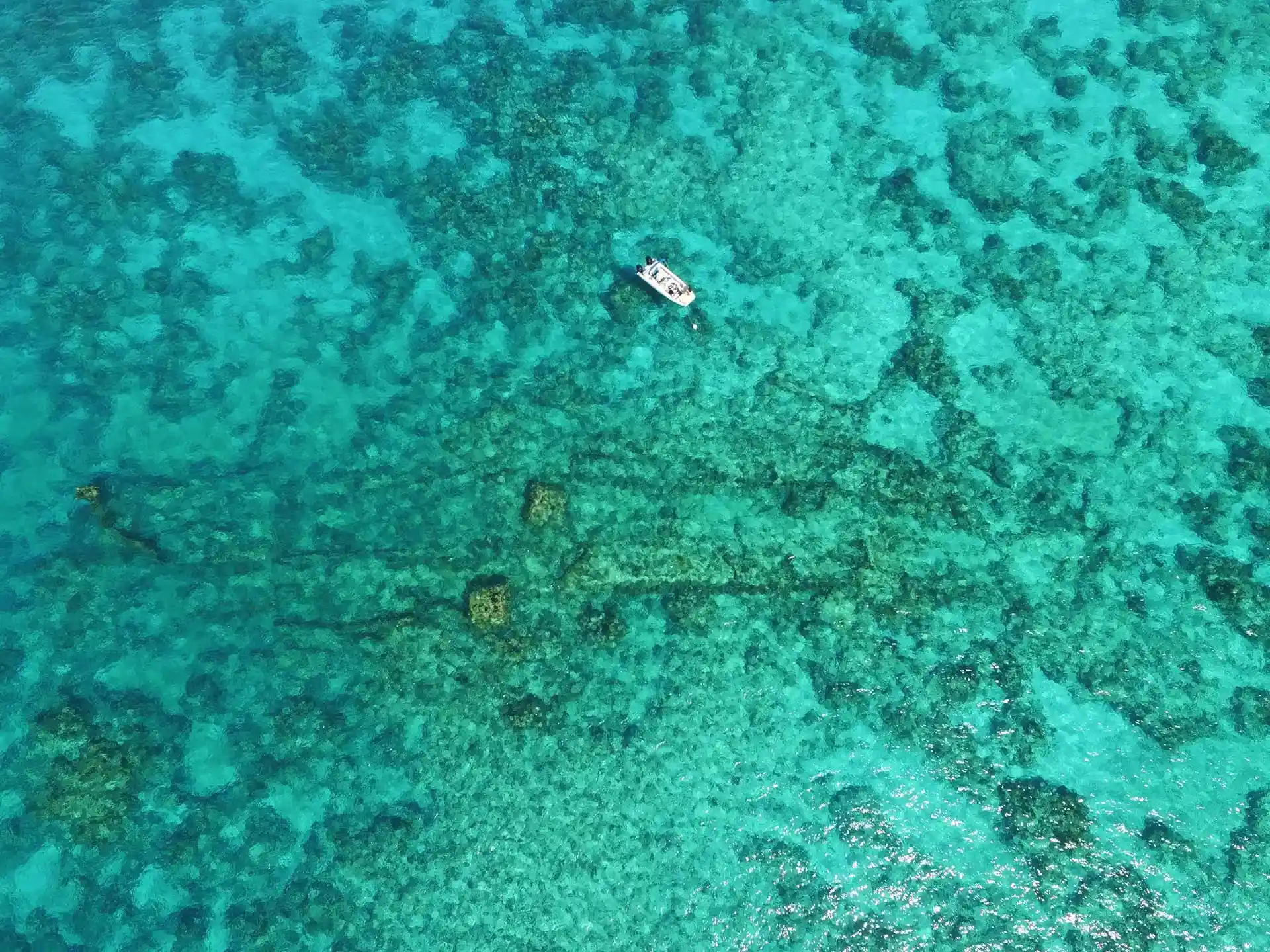 ダイビングサイトの写真