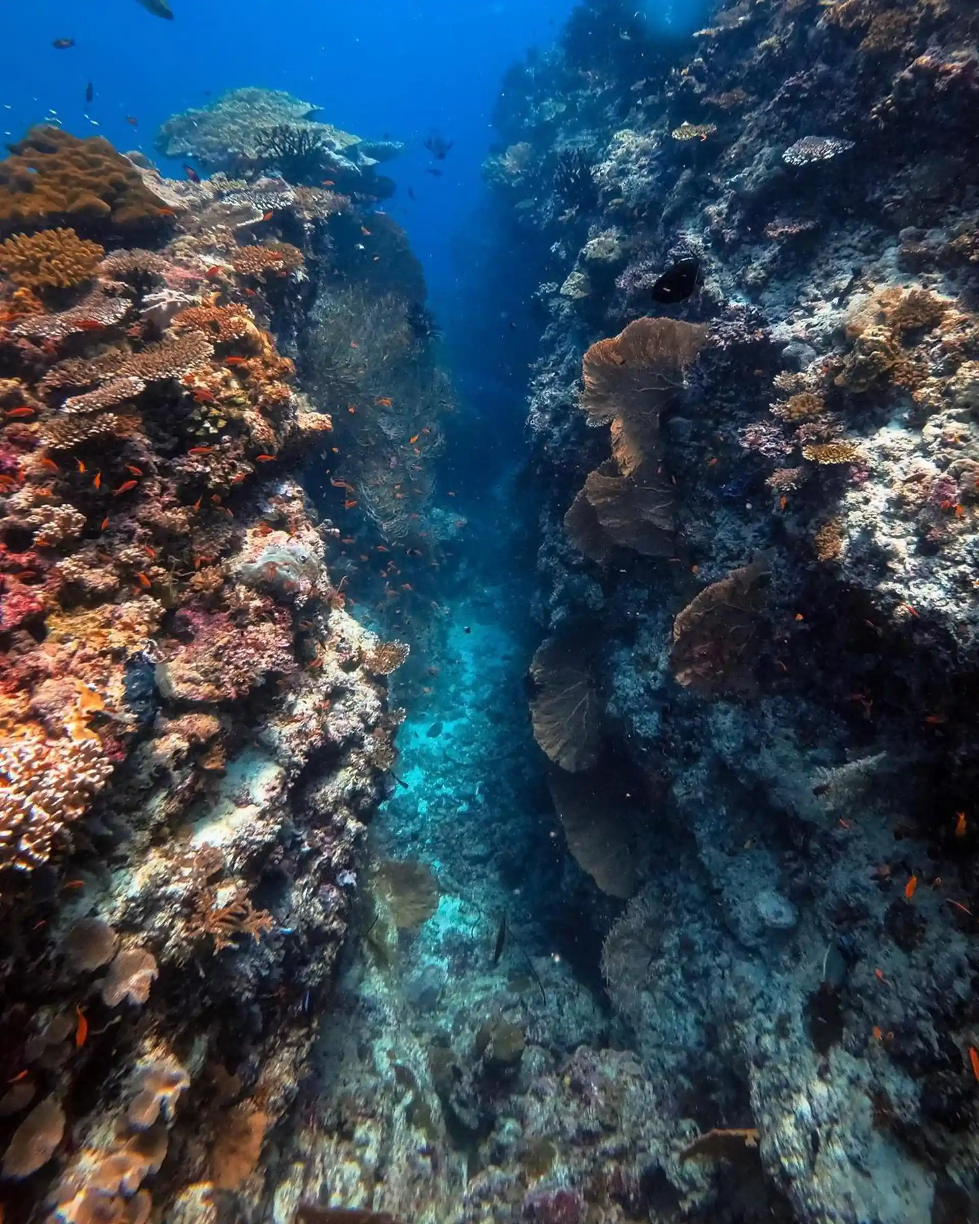 Dive site photo