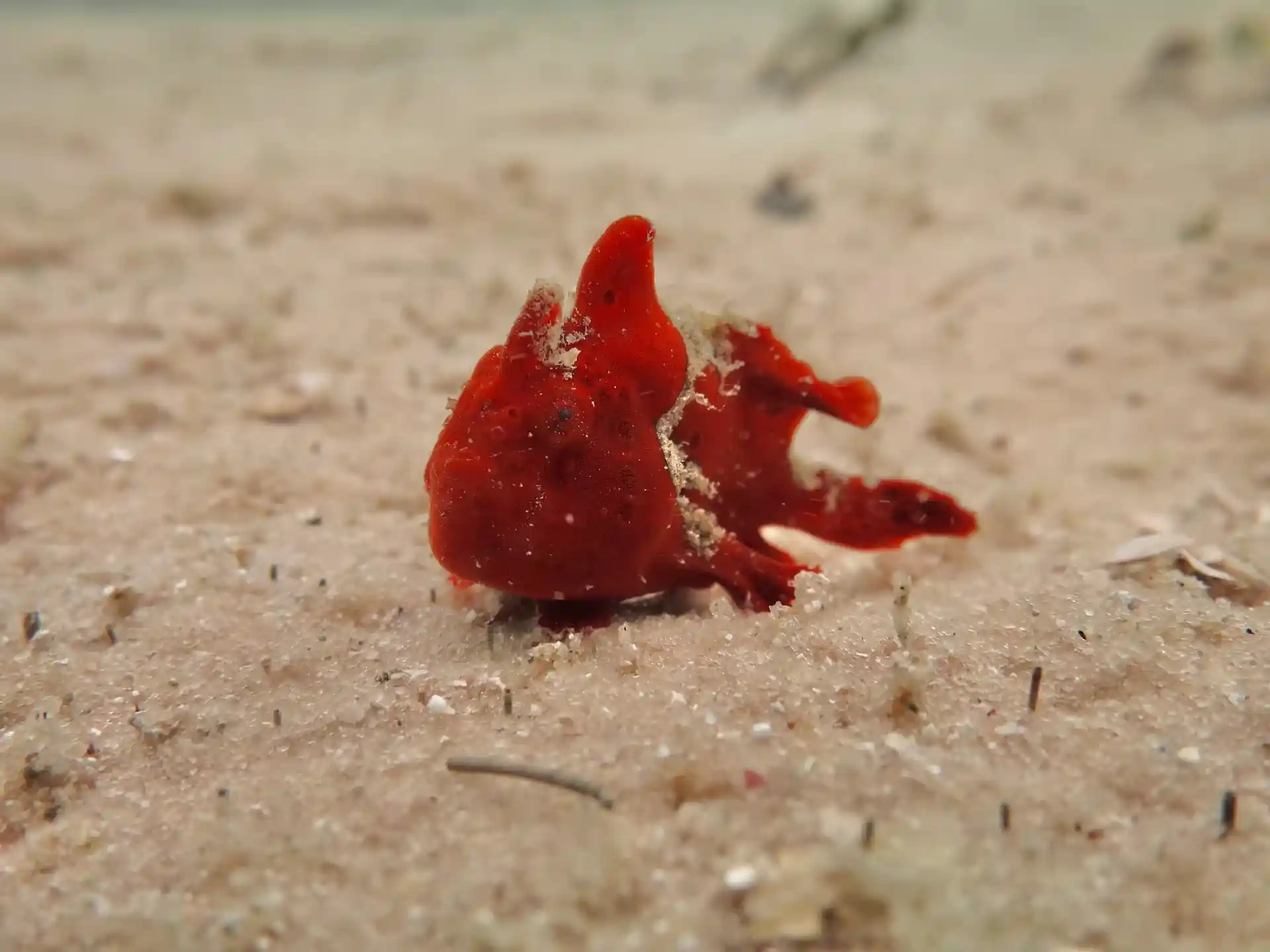 Dive site photo