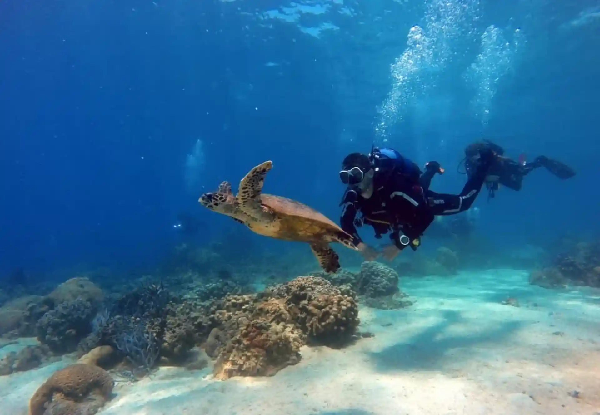 다이빙 포인트 사진