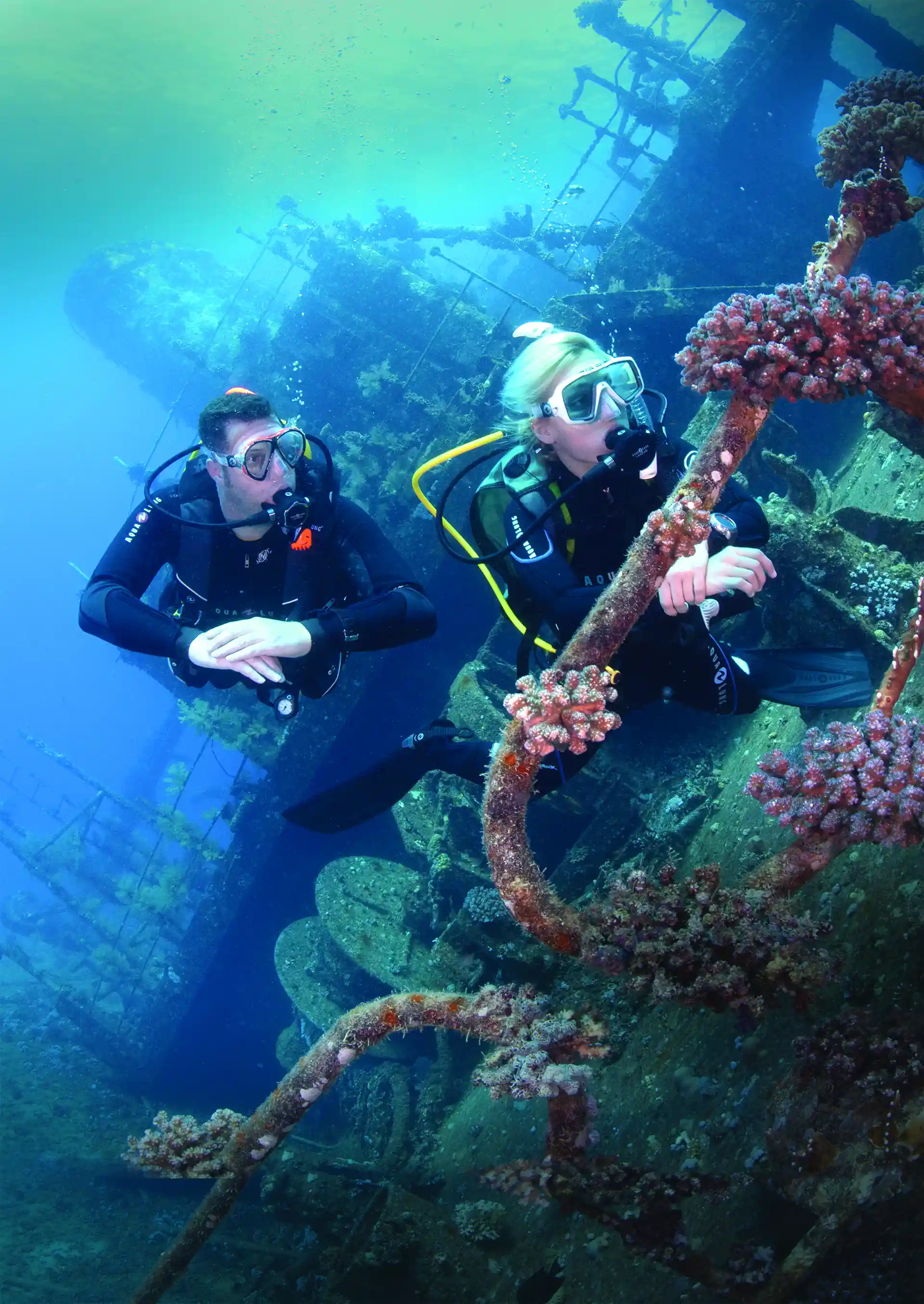 Photo de l'activité