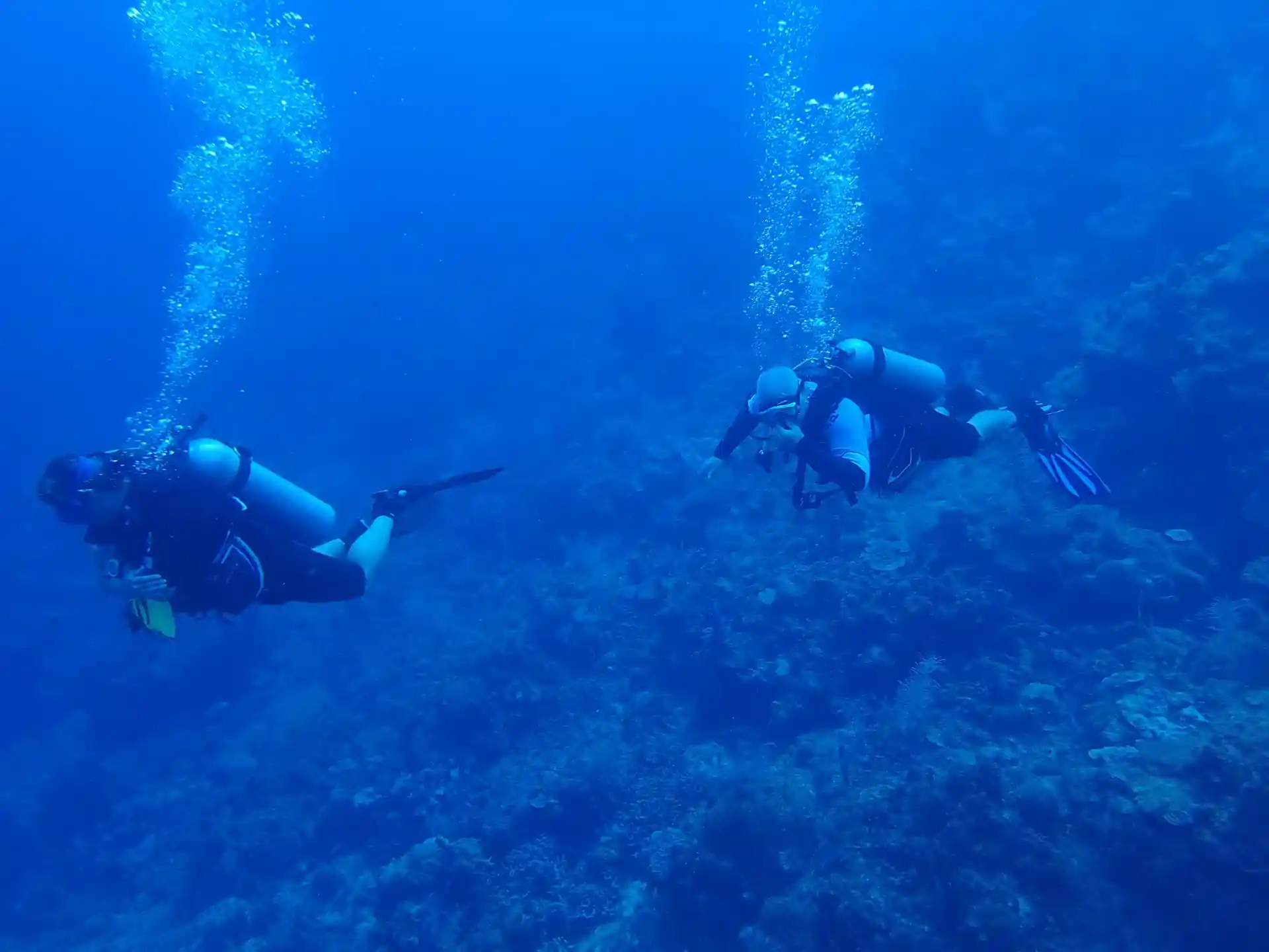 Dive site photo