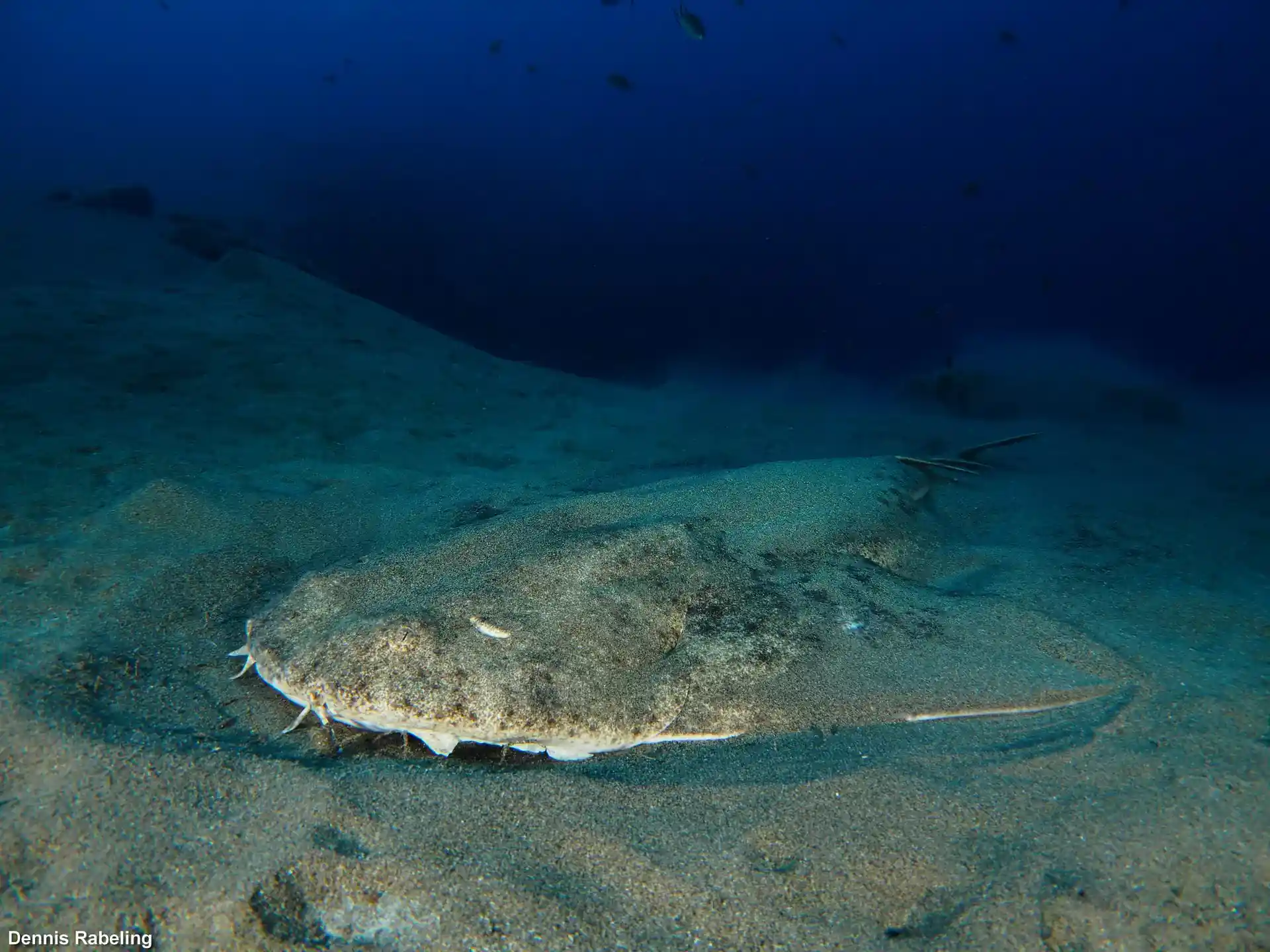 Photo du site de plongée