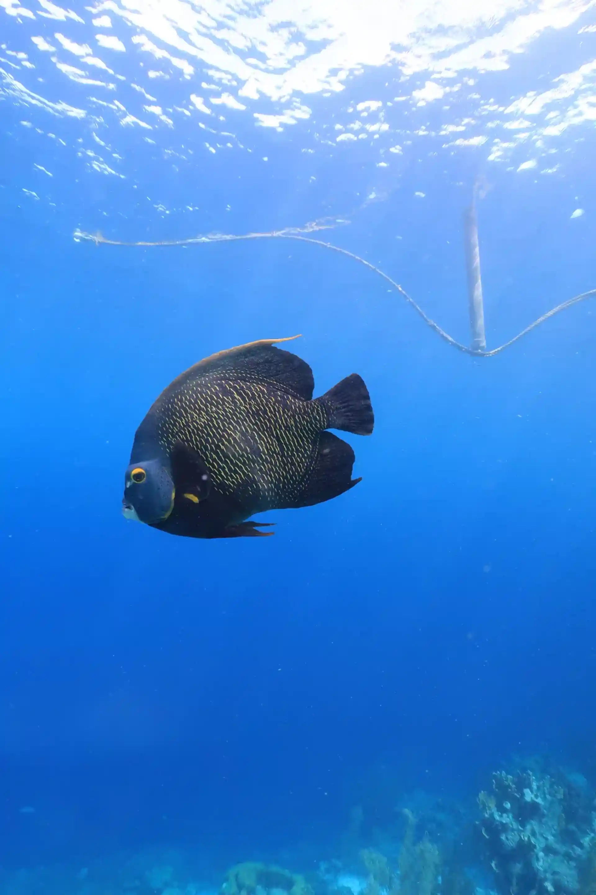 다이빙 포인트 사진