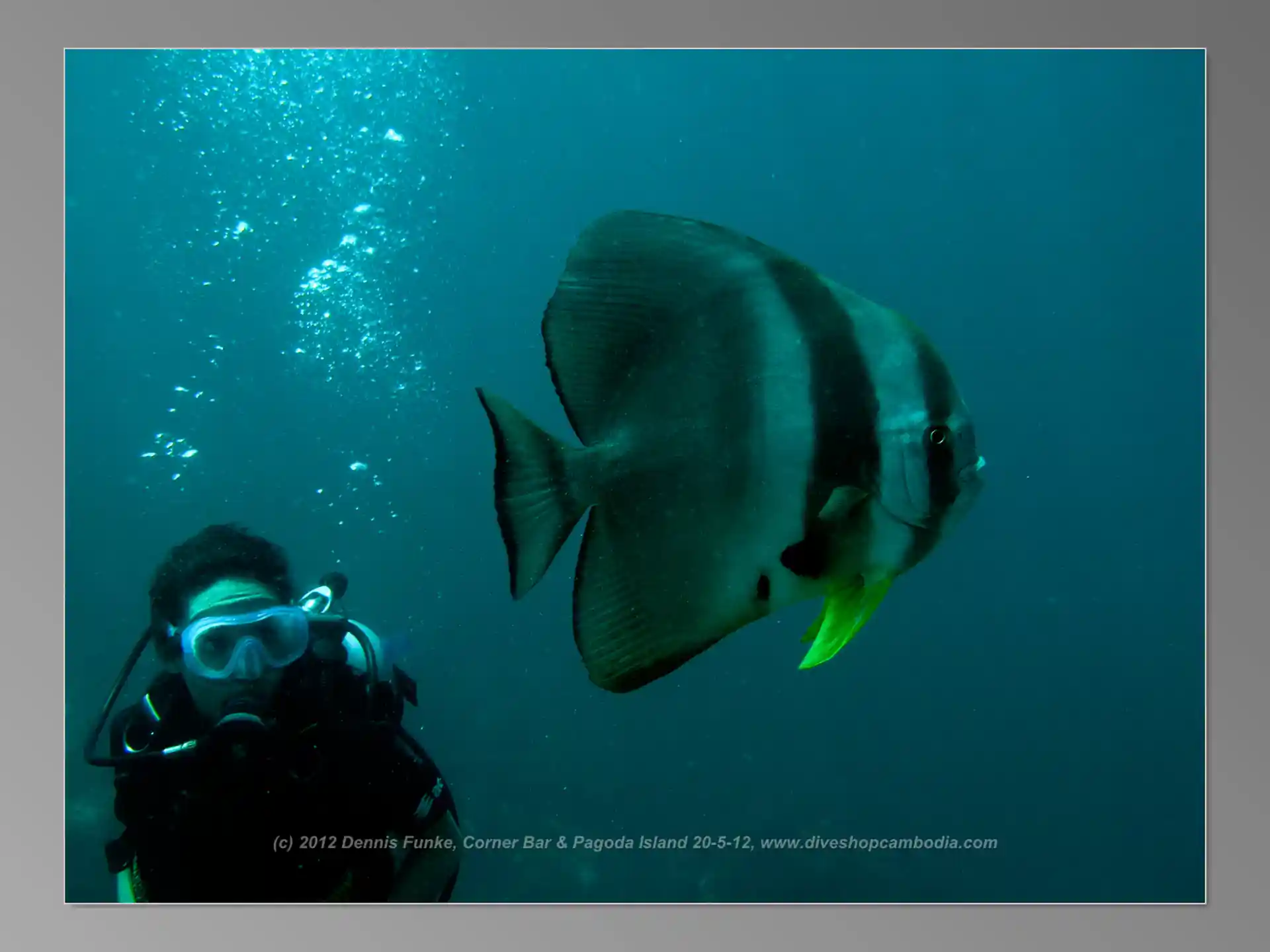 Dive site photo