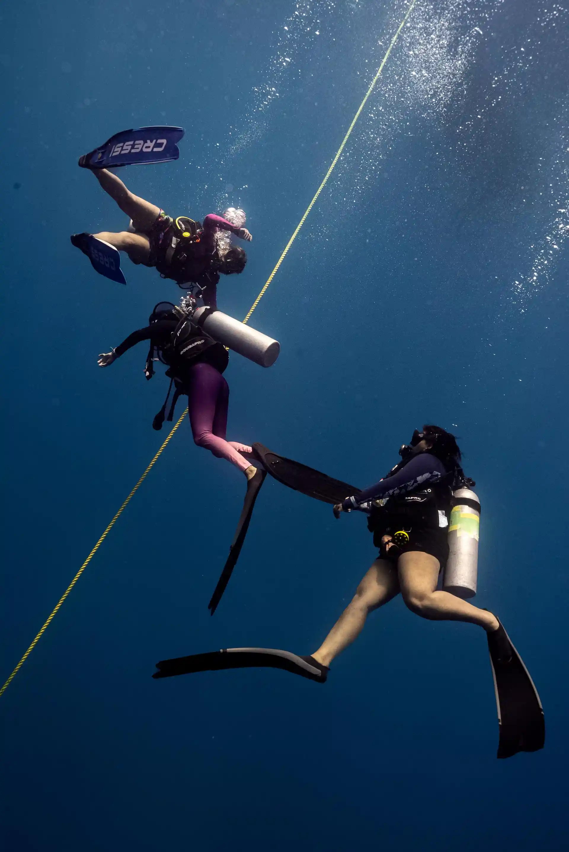 PADI Divemaster with ScubaLov