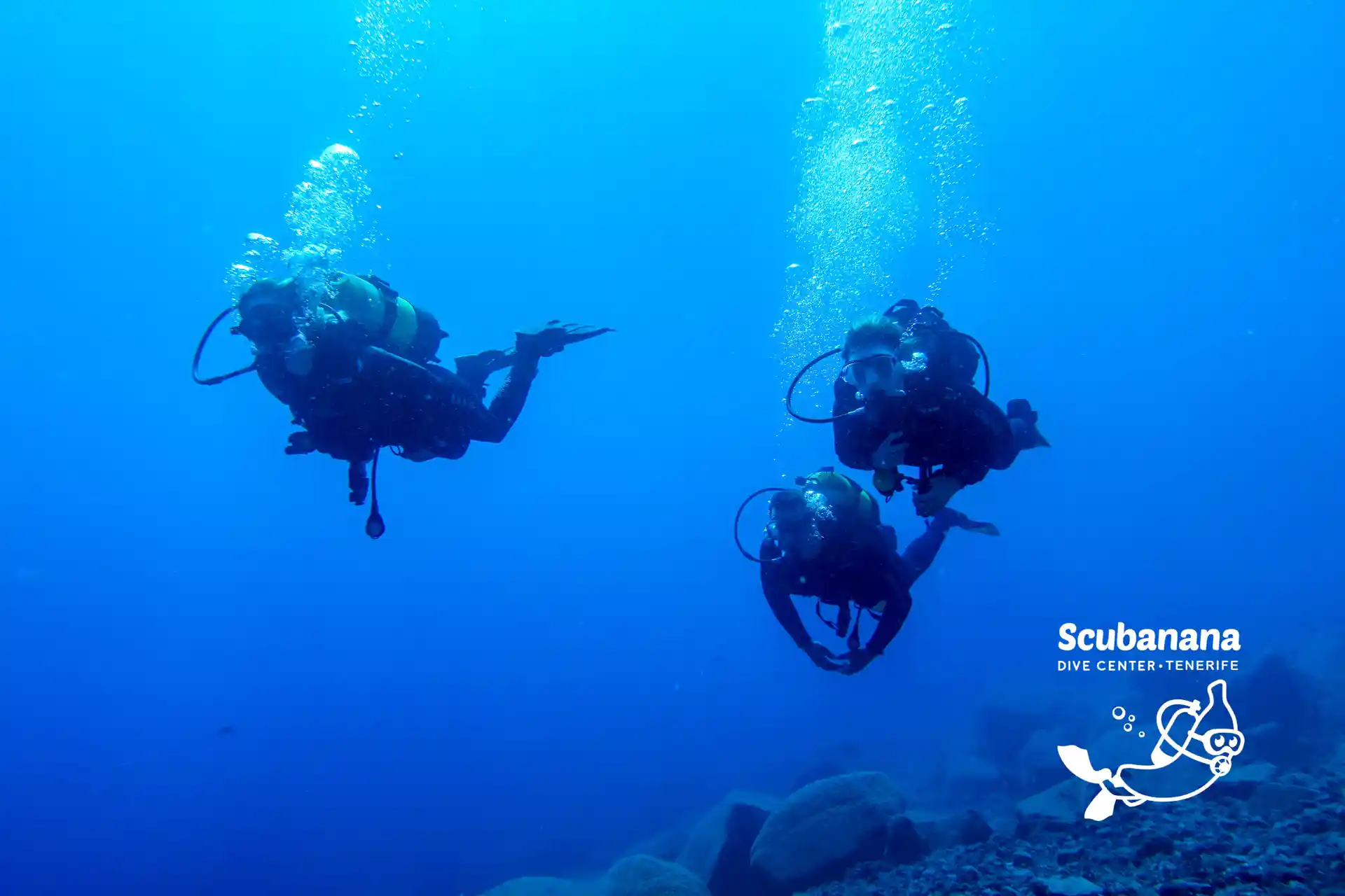 Foto de la actividad