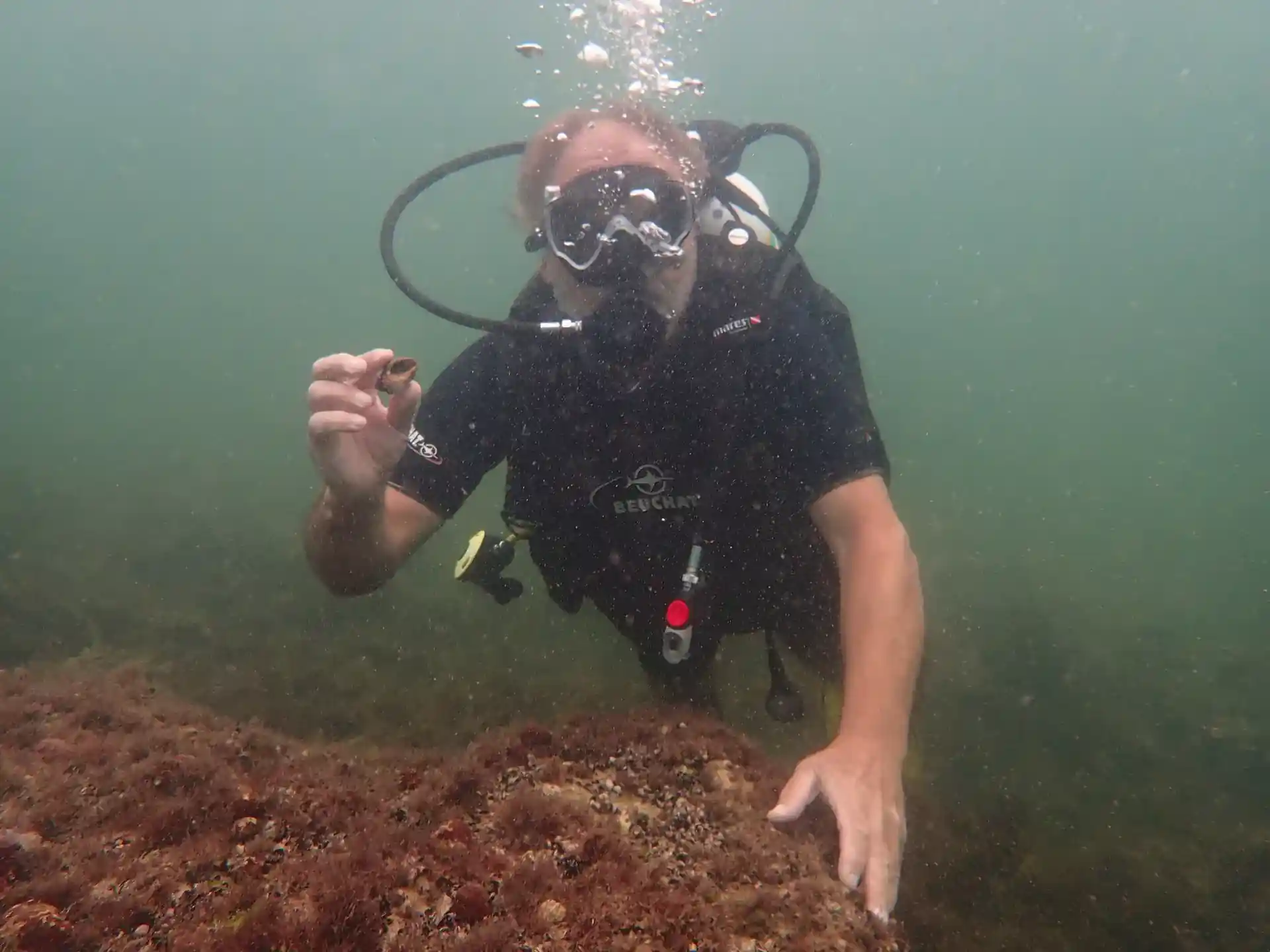 Dive shop photo