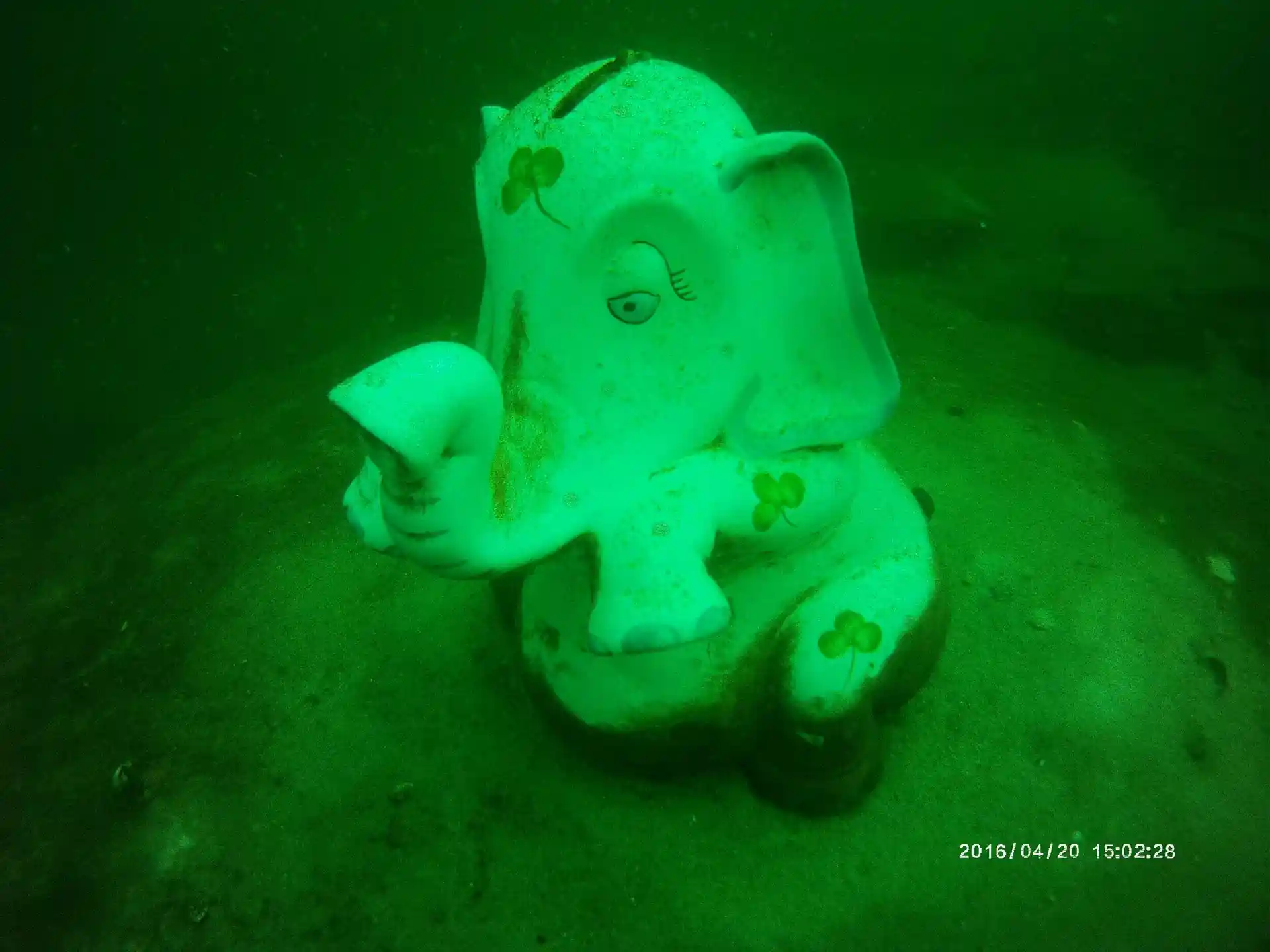 다이빙 포인트 사진