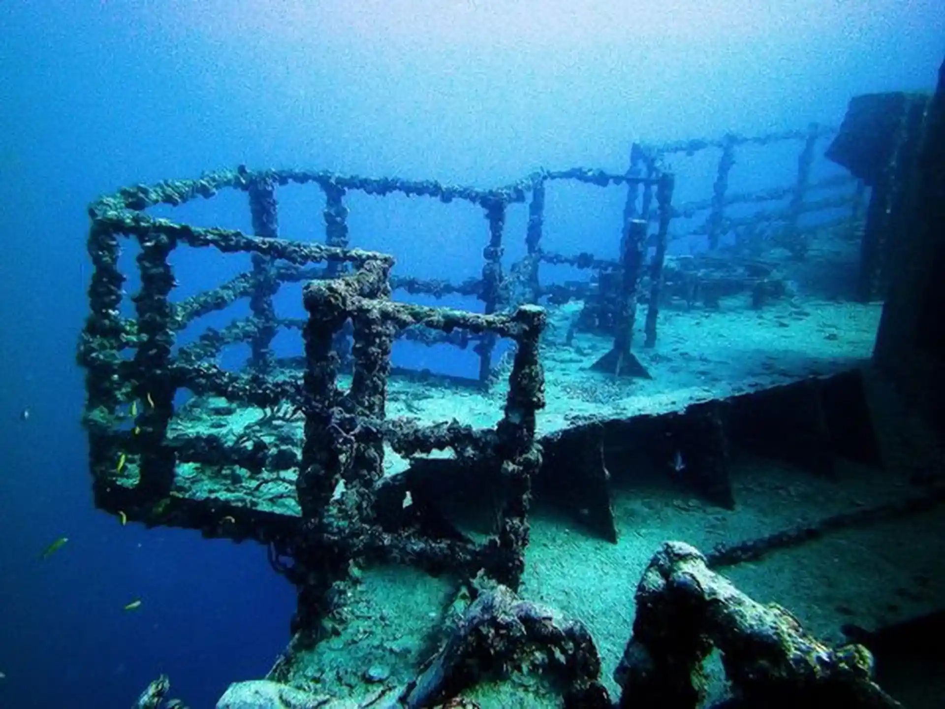 Dive shop photo
