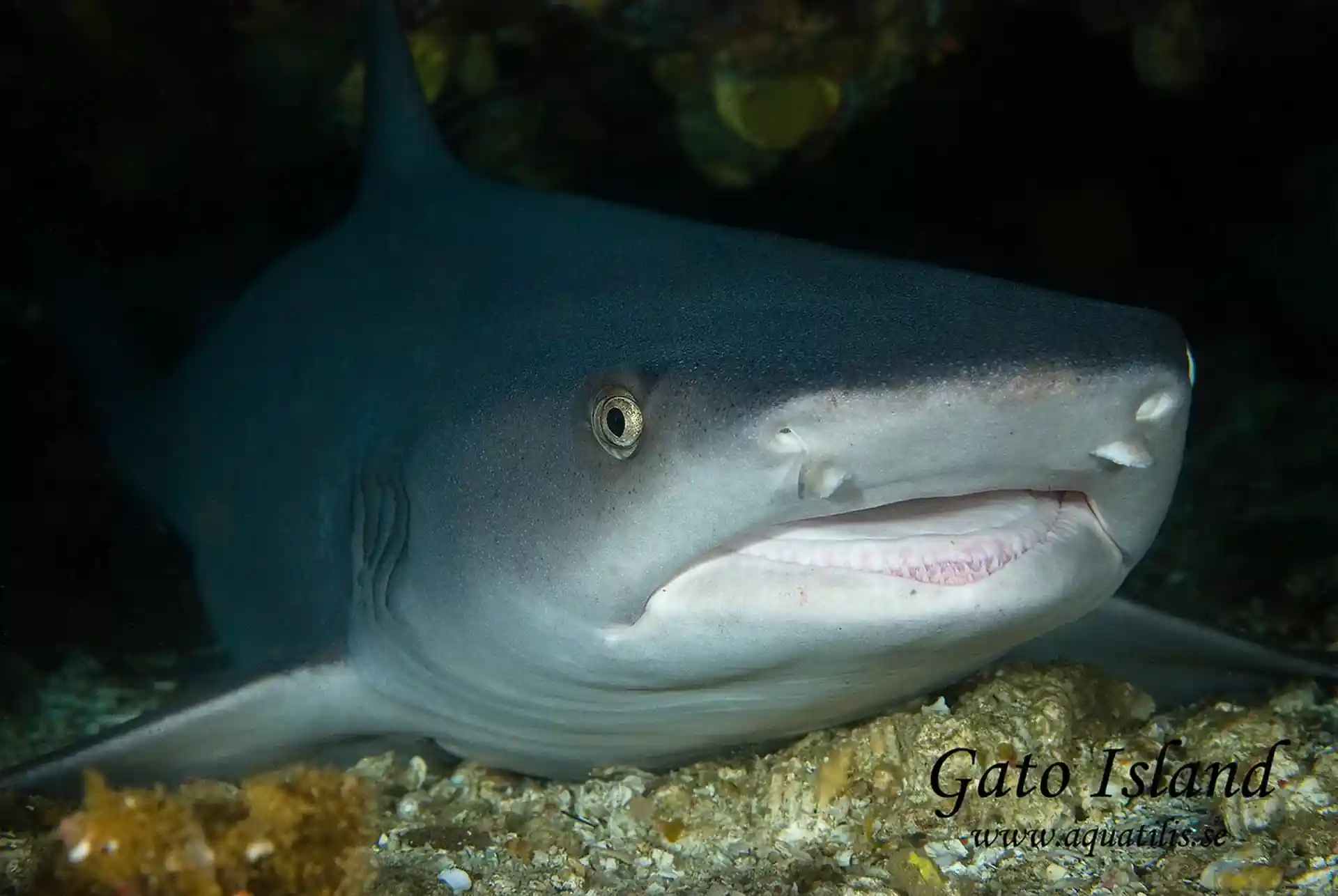 Dive site photo