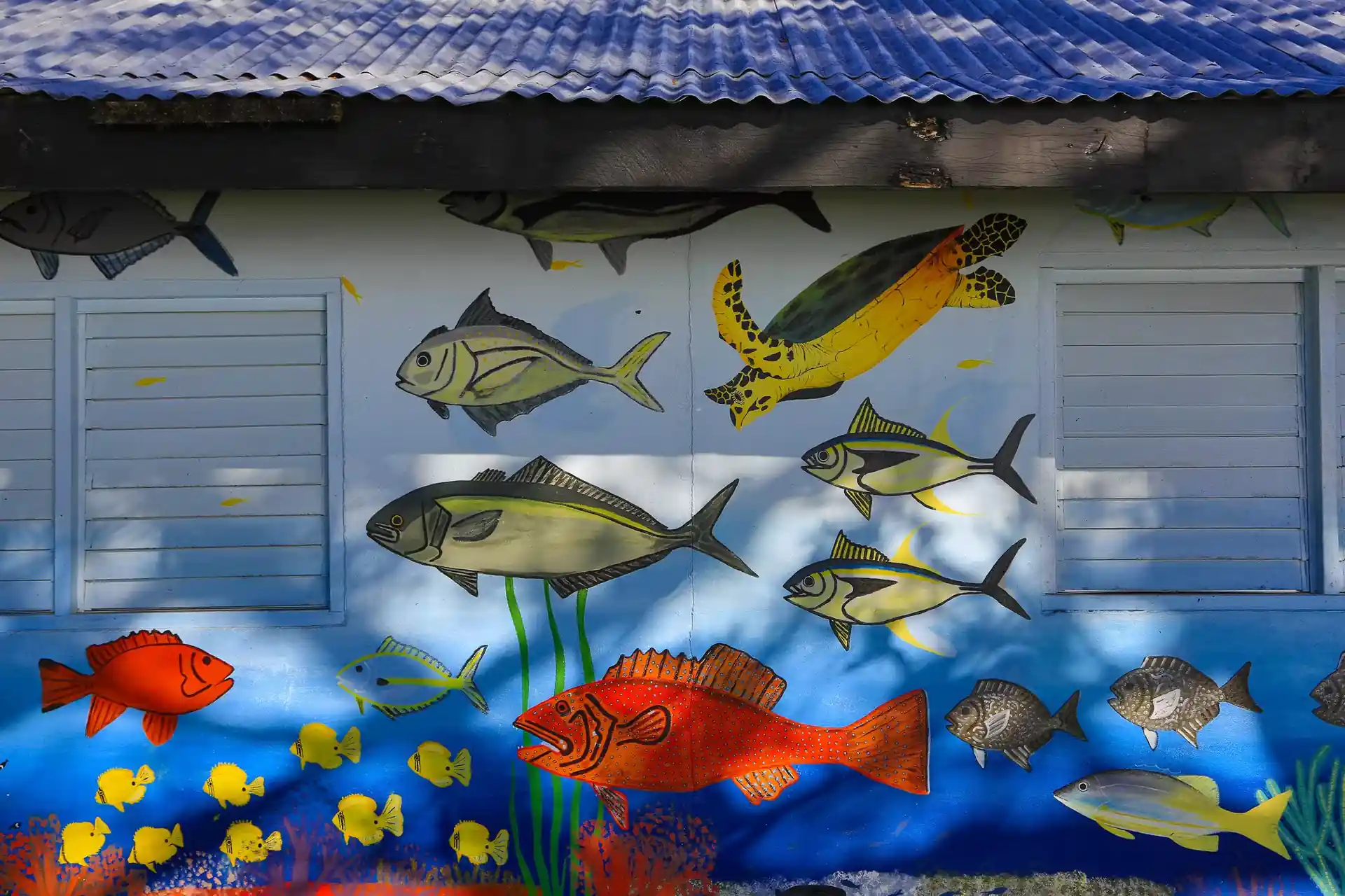 Dive shop photo