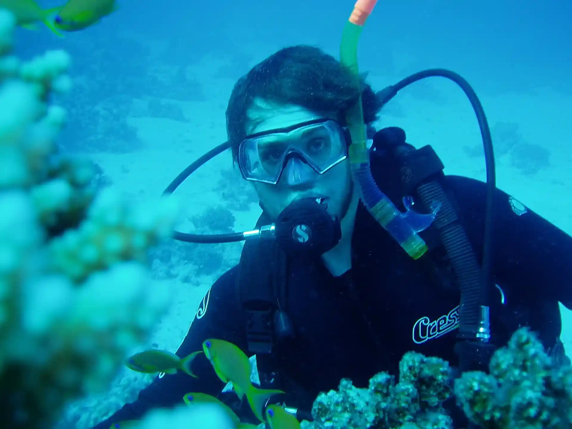 Dive shop photo