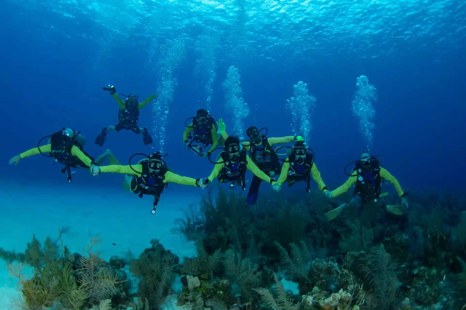 Dive shop photo