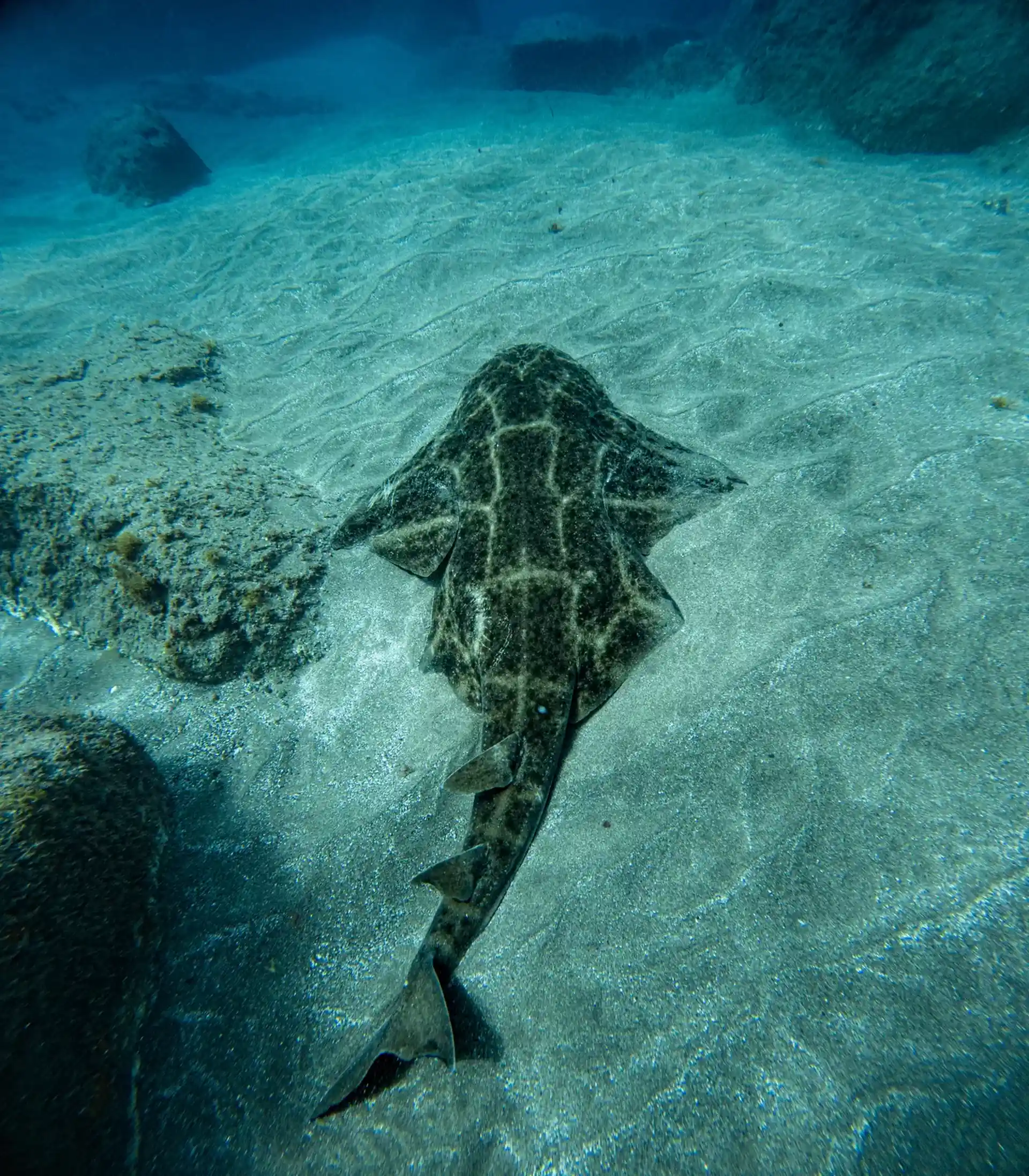 Dive site photo