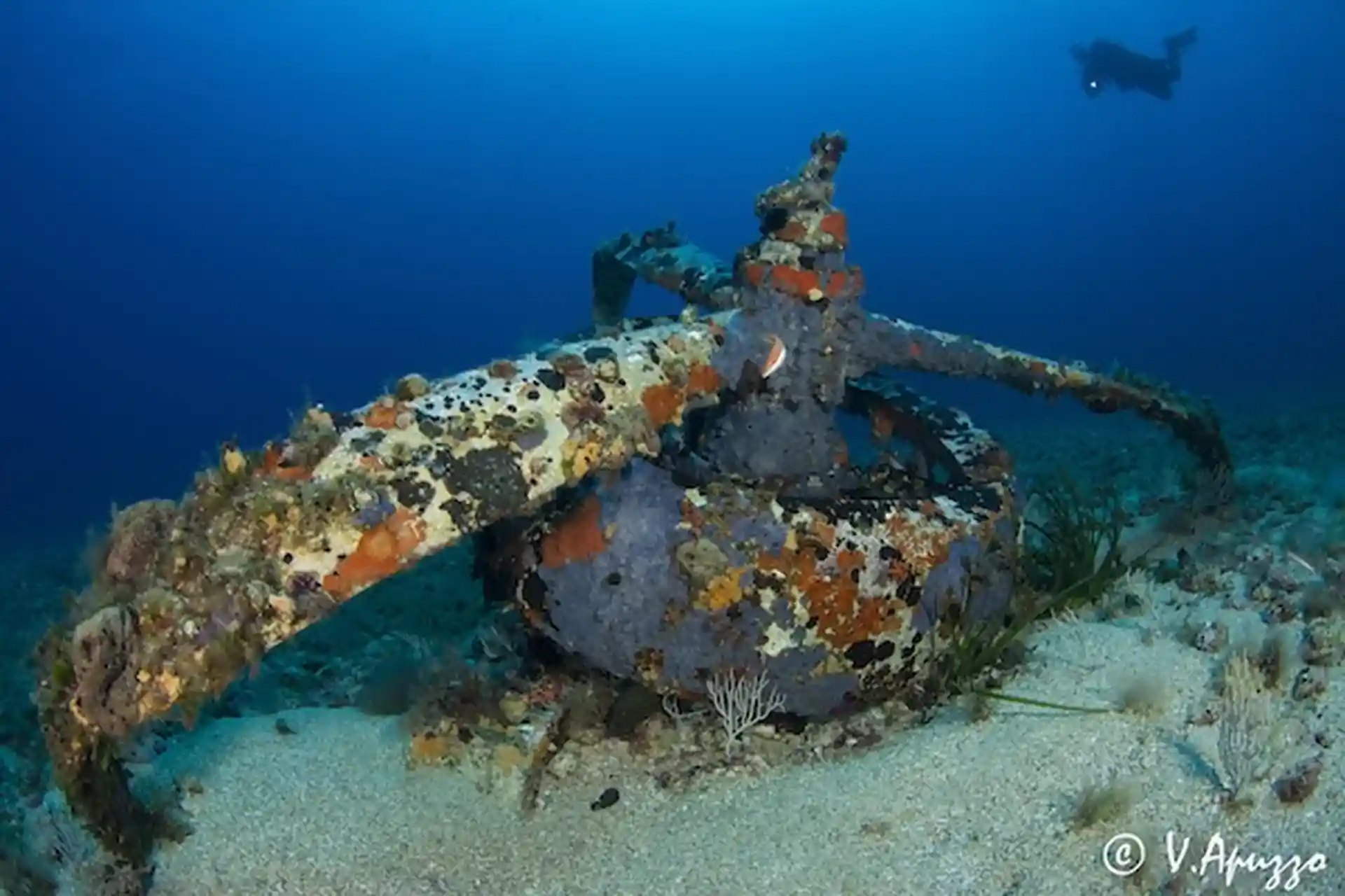 Daily Diving Trip in the Marine Park of La Maddalena