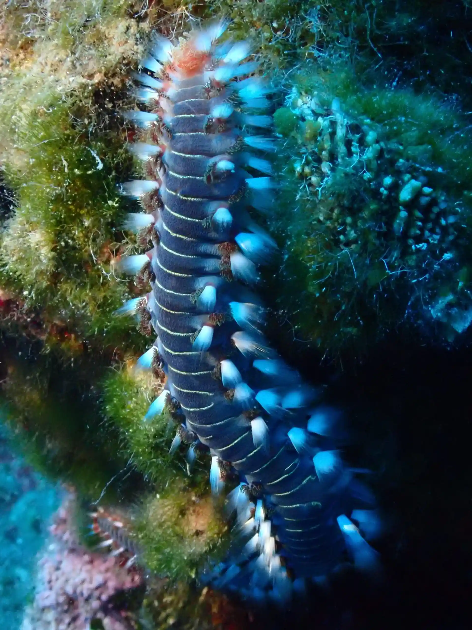 Dive site photo