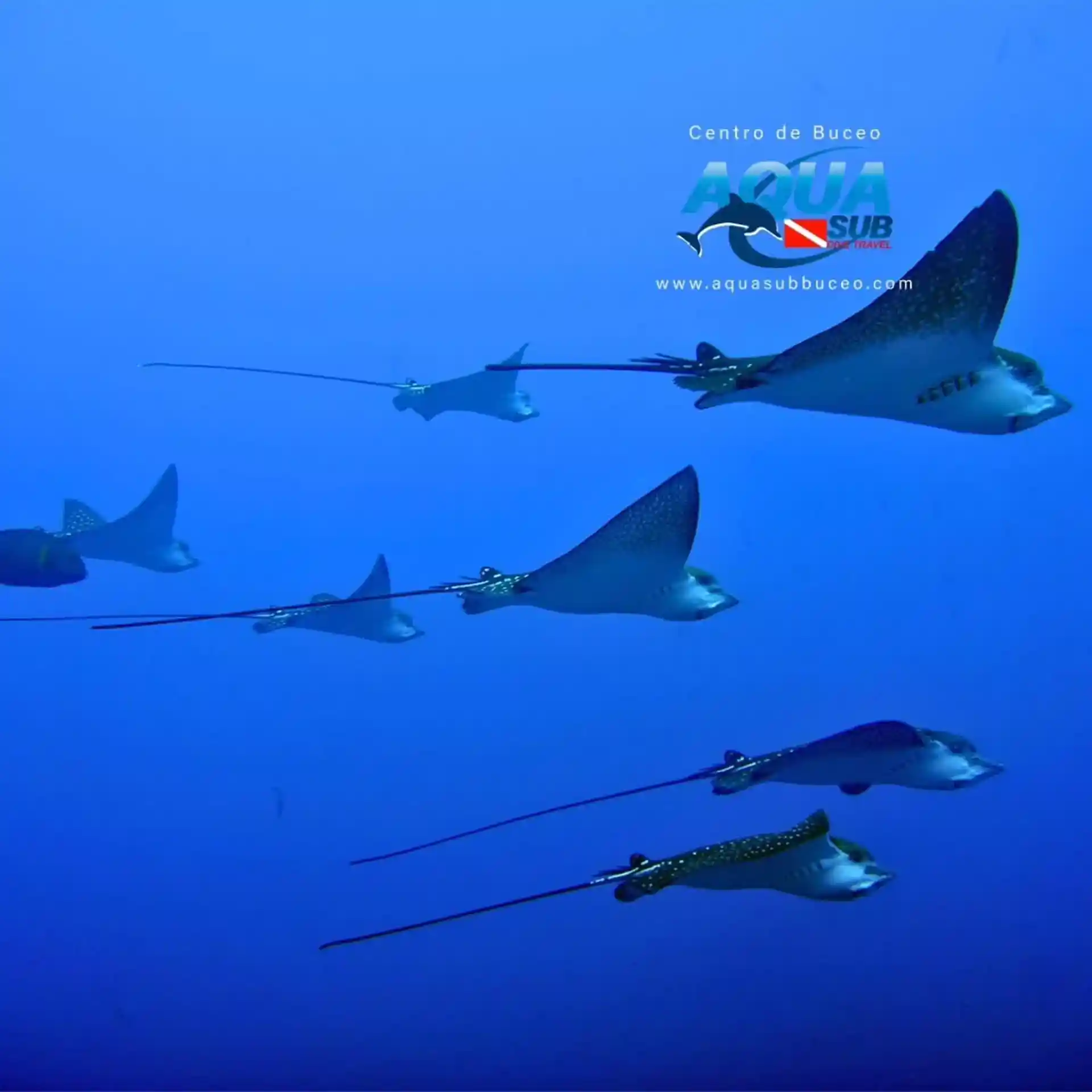 Foto de la actividad