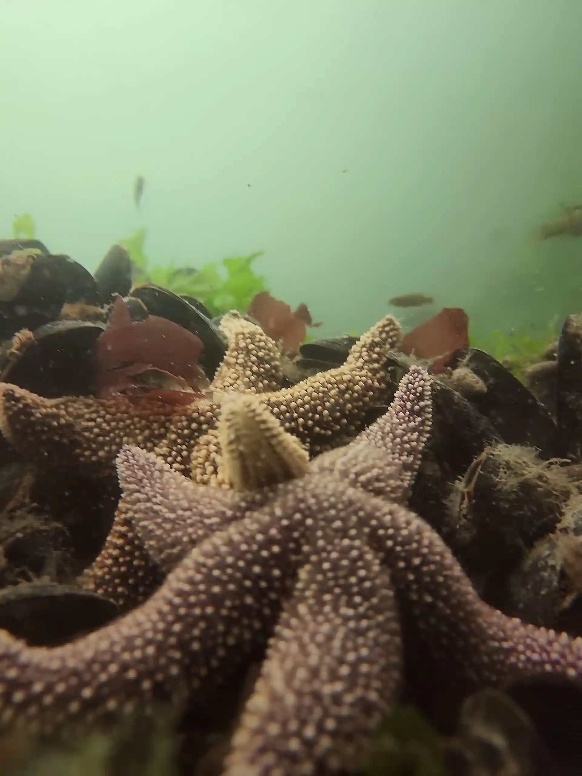 Dive site photo