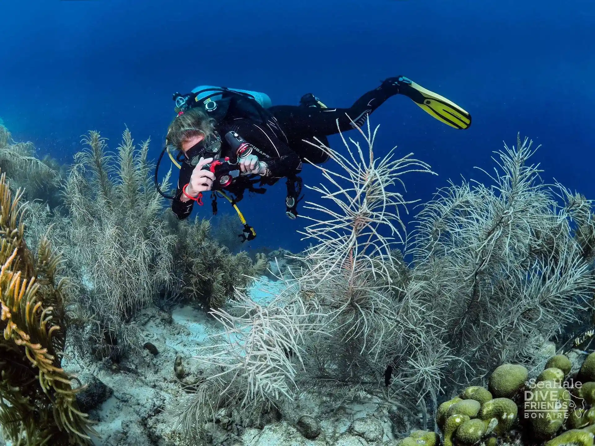 Photo de l'activité