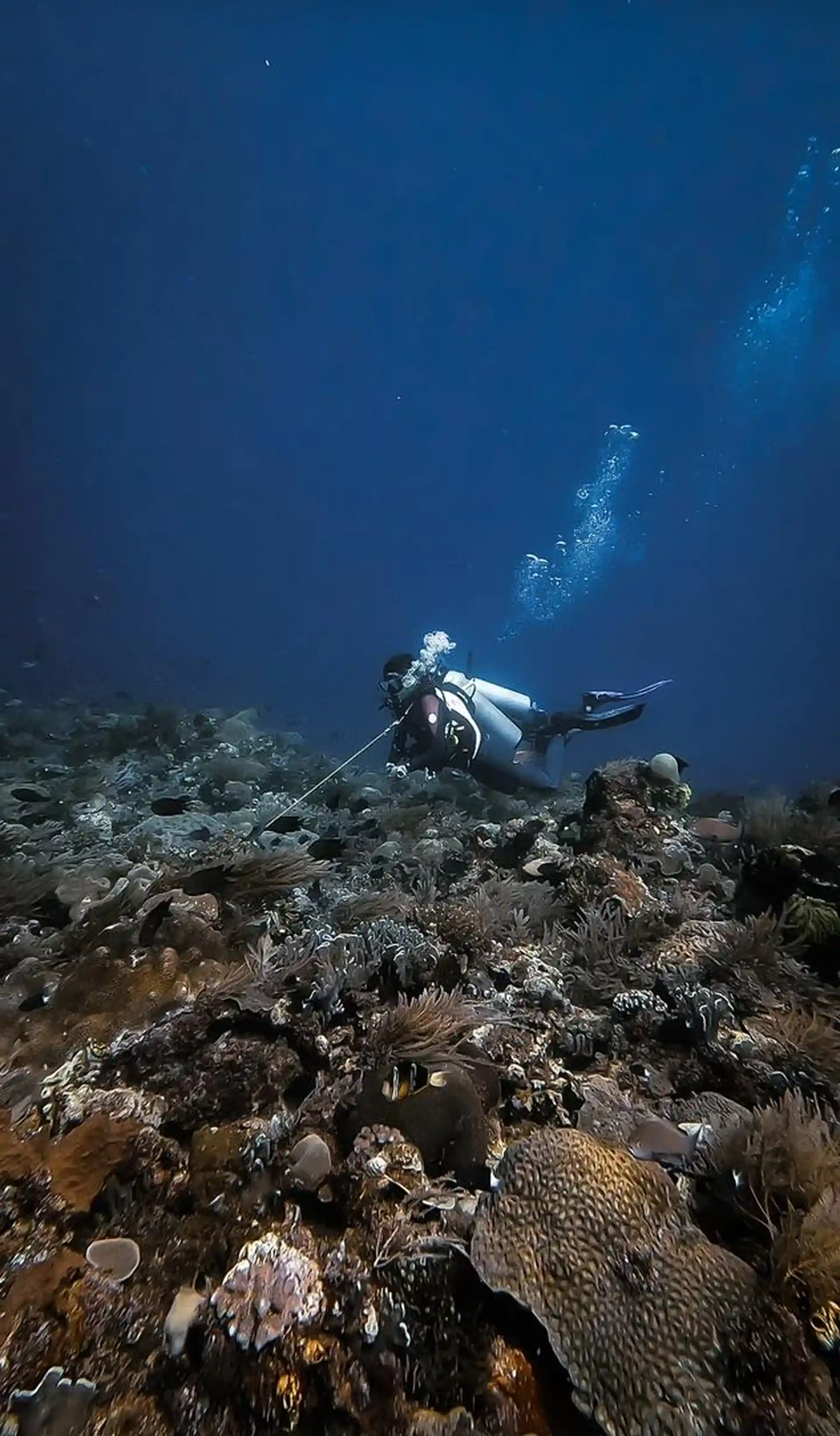 Dive site photo