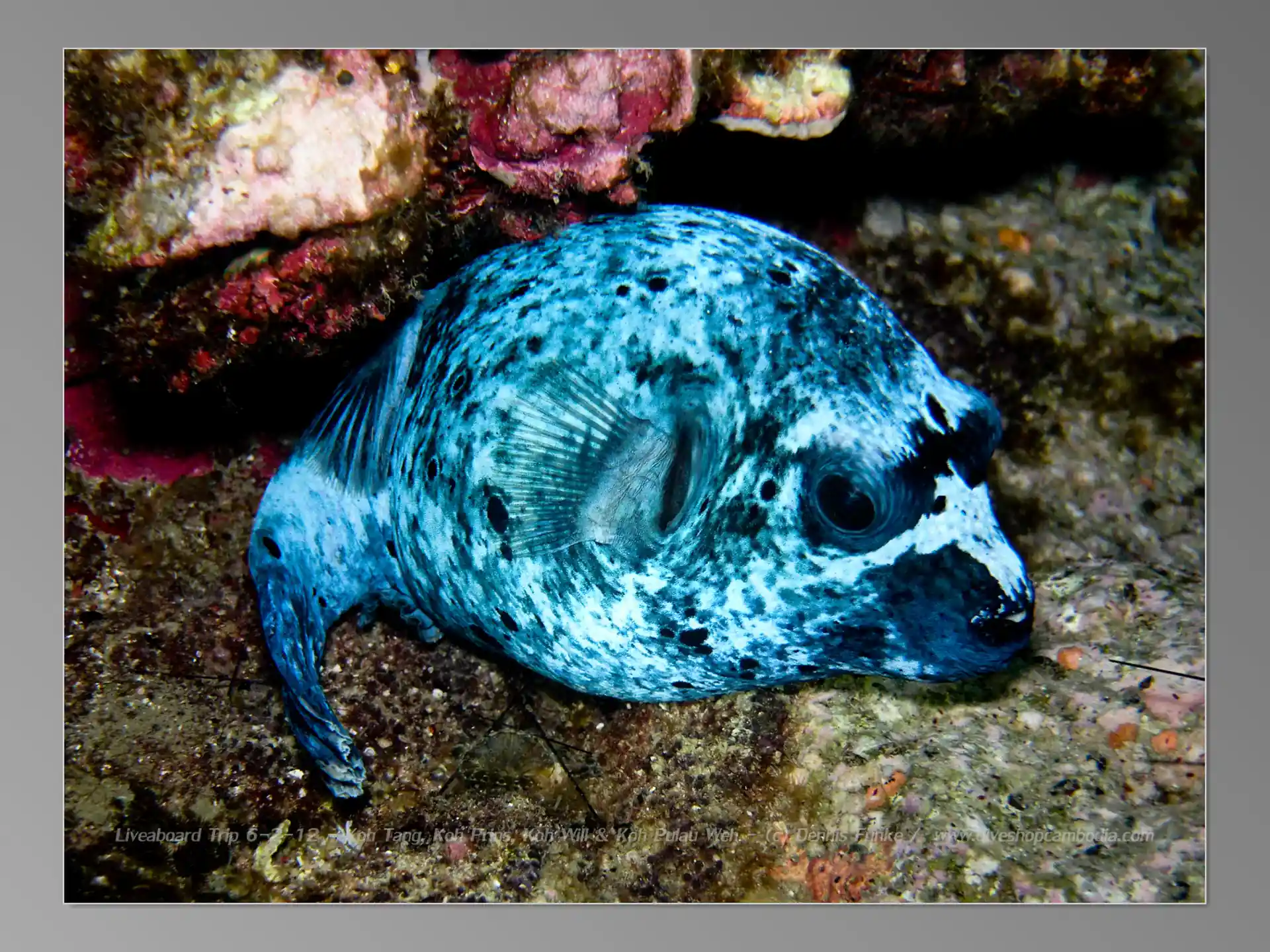 Dive site photo