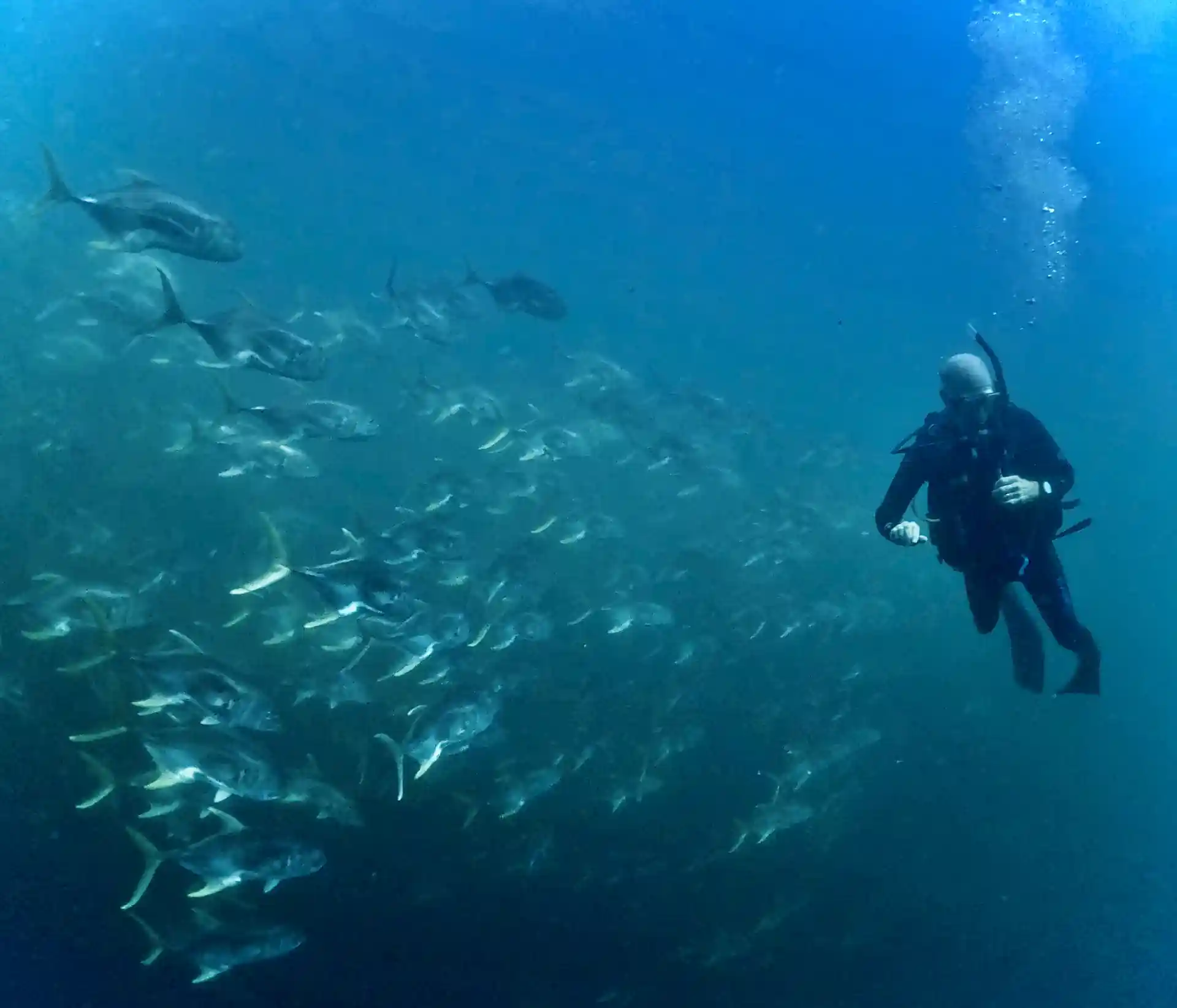 Foto de la tienda de buceo