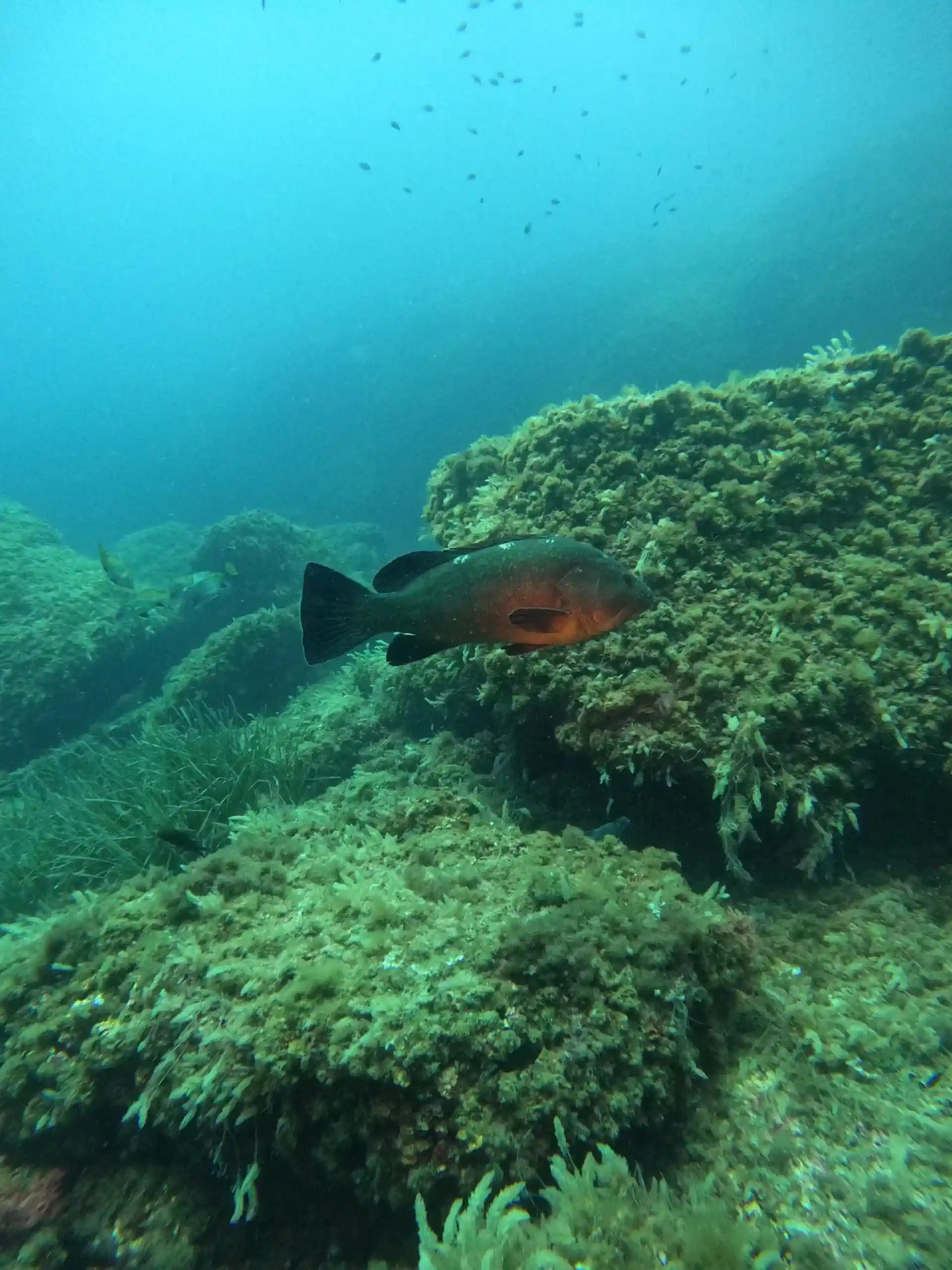 Dive site photo