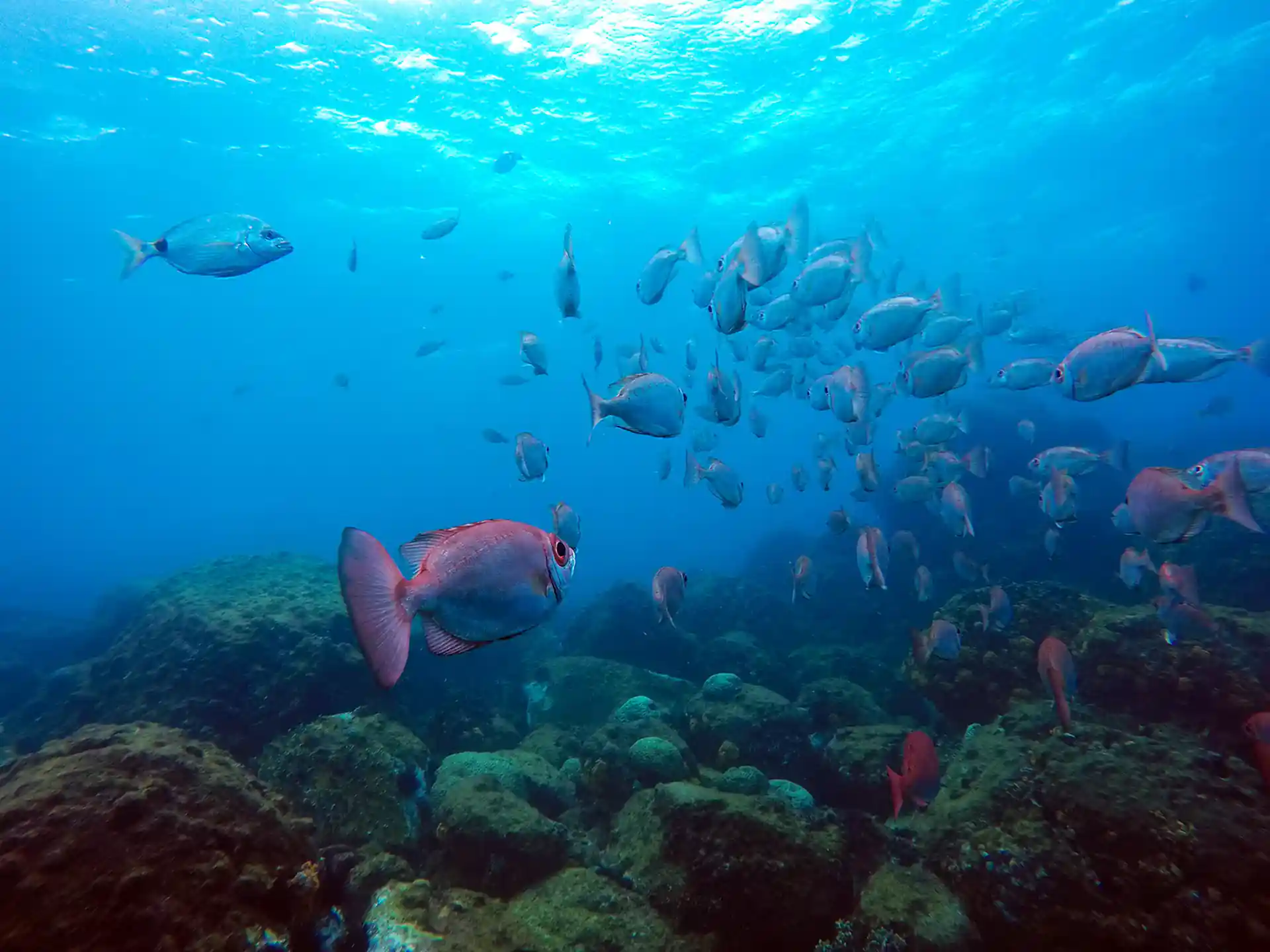 다이빙 포인트 사진