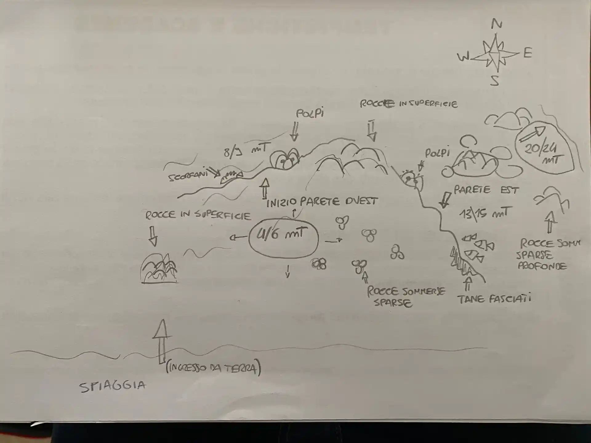 다이빙 포인트 사진