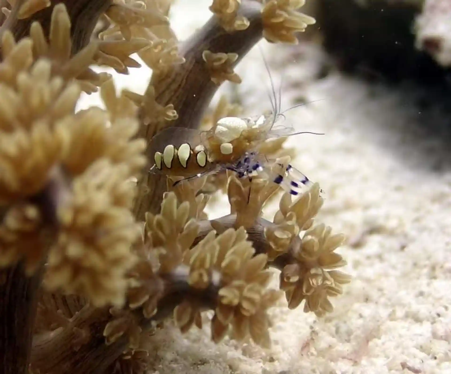 Foto des Tauchplatzes