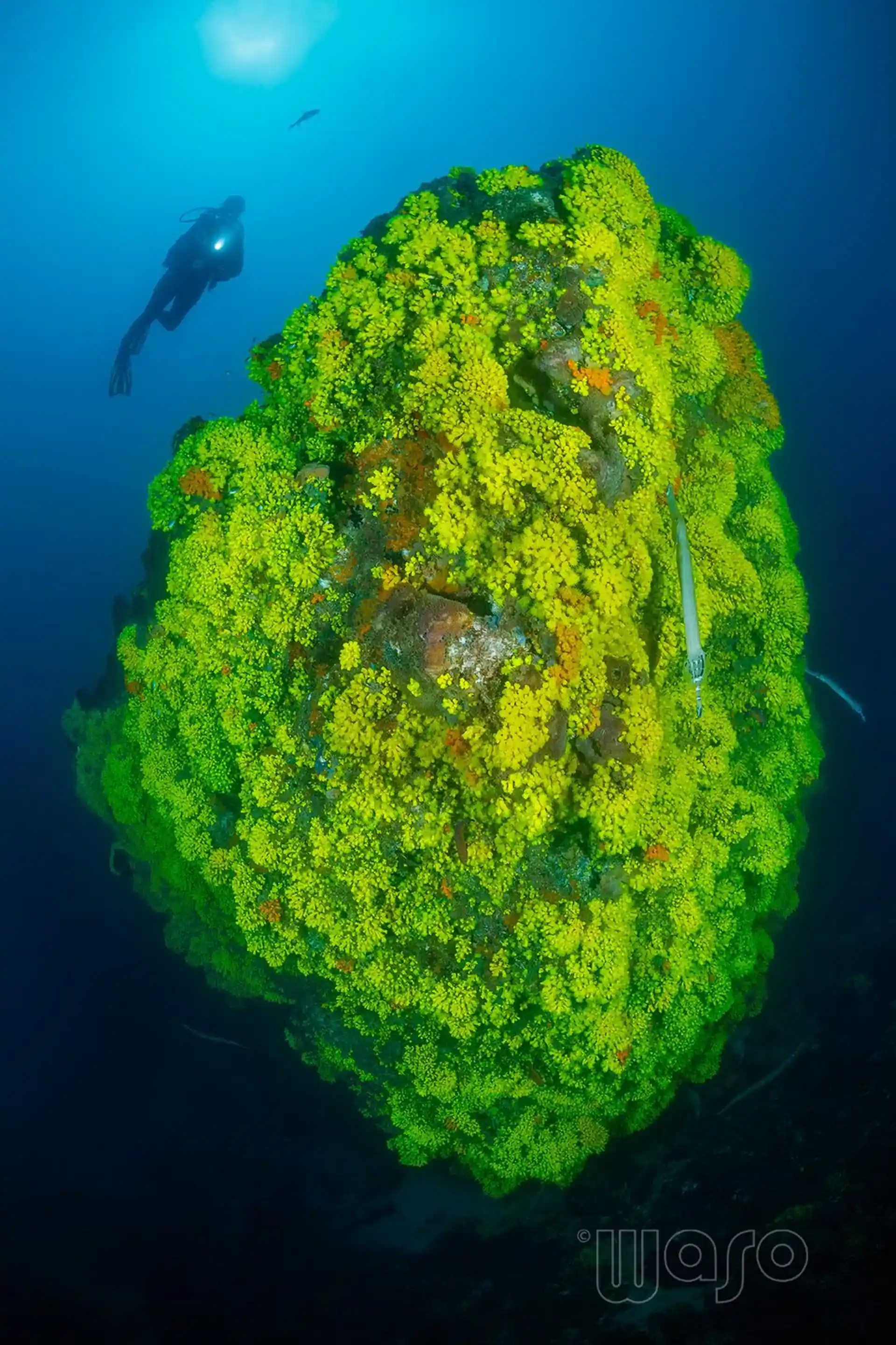 Dive site photo