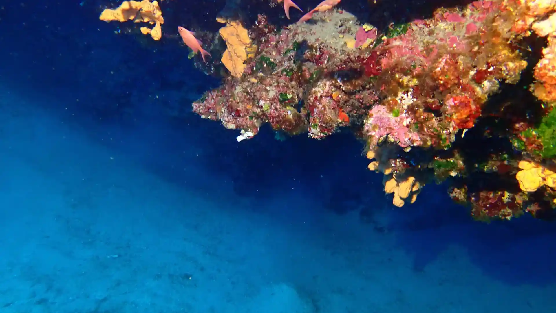Dive site photo