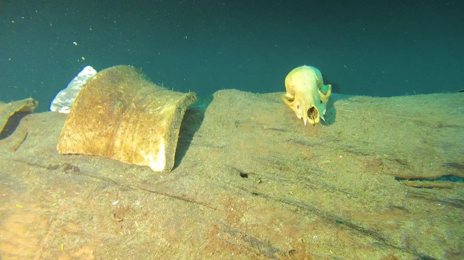 Explore the depths of Angelita, where a mystical hydrogen sulfide cloud hides ancient secrets like Mayan pottery and animal bones scattered along the slope