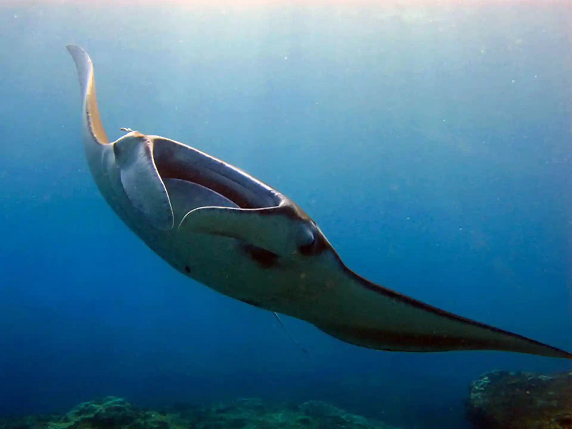 Dive shop photo