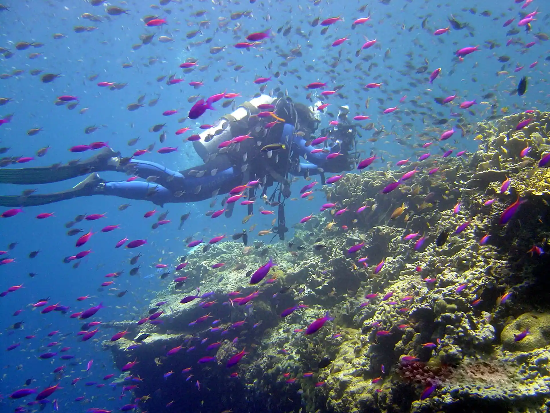 다이빙 포인트 사진