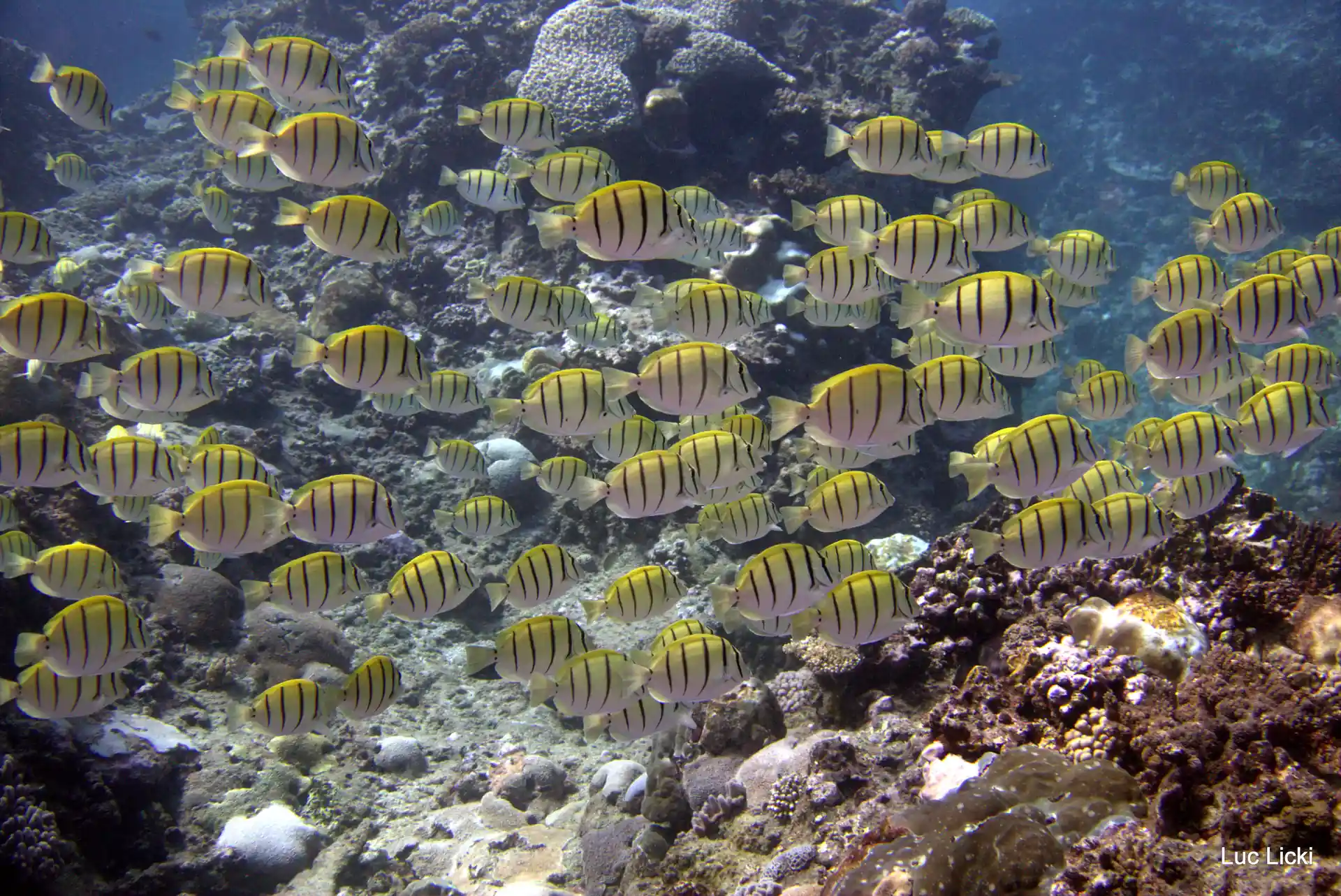 Photo de l'activité