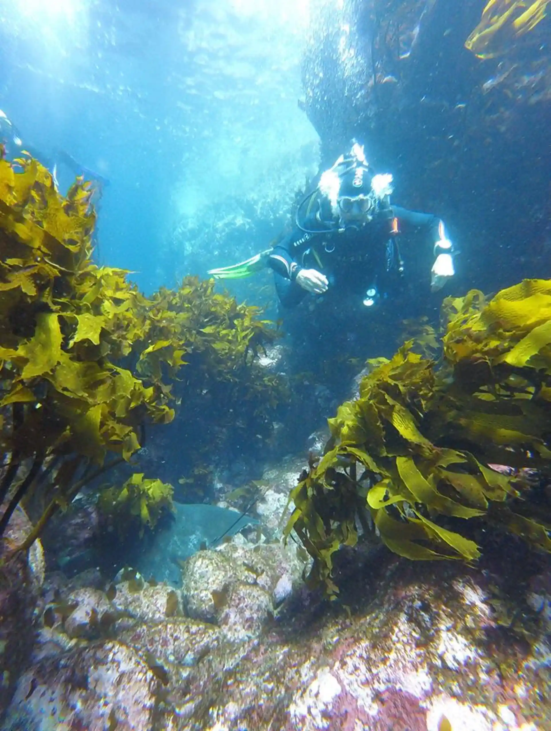 Dive site photo