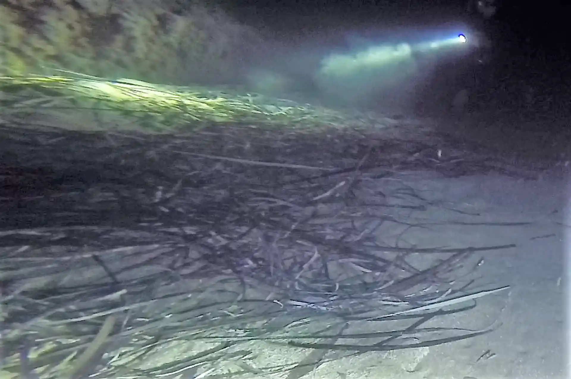 Dive site photo