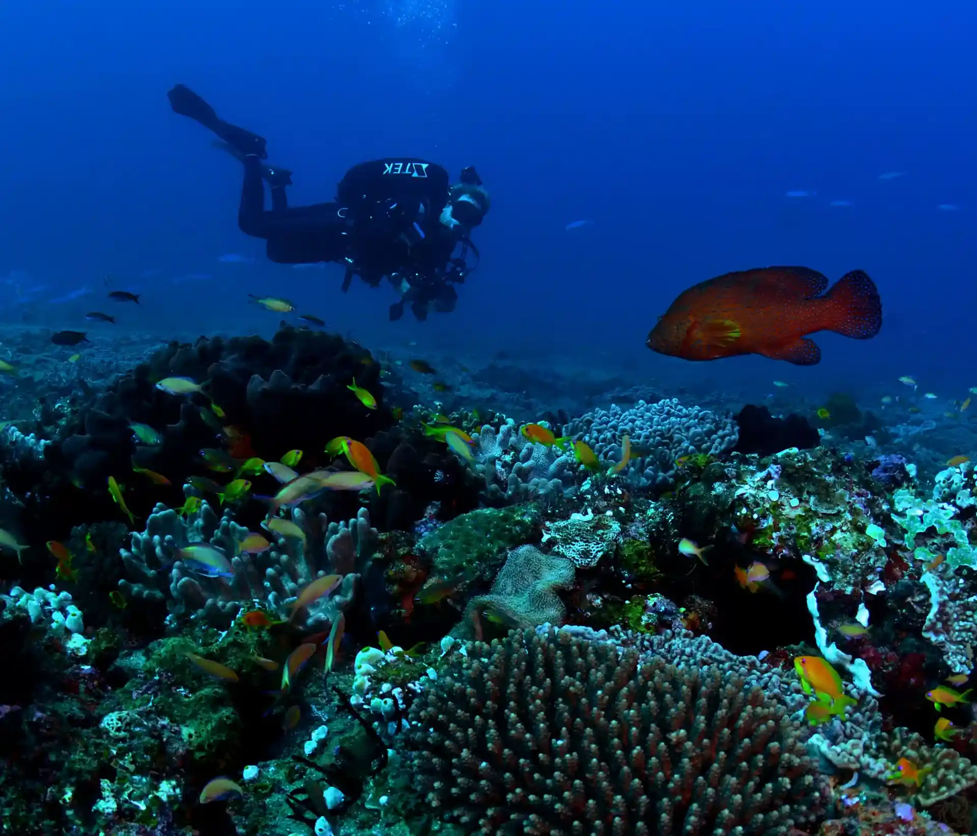 Dive site photo