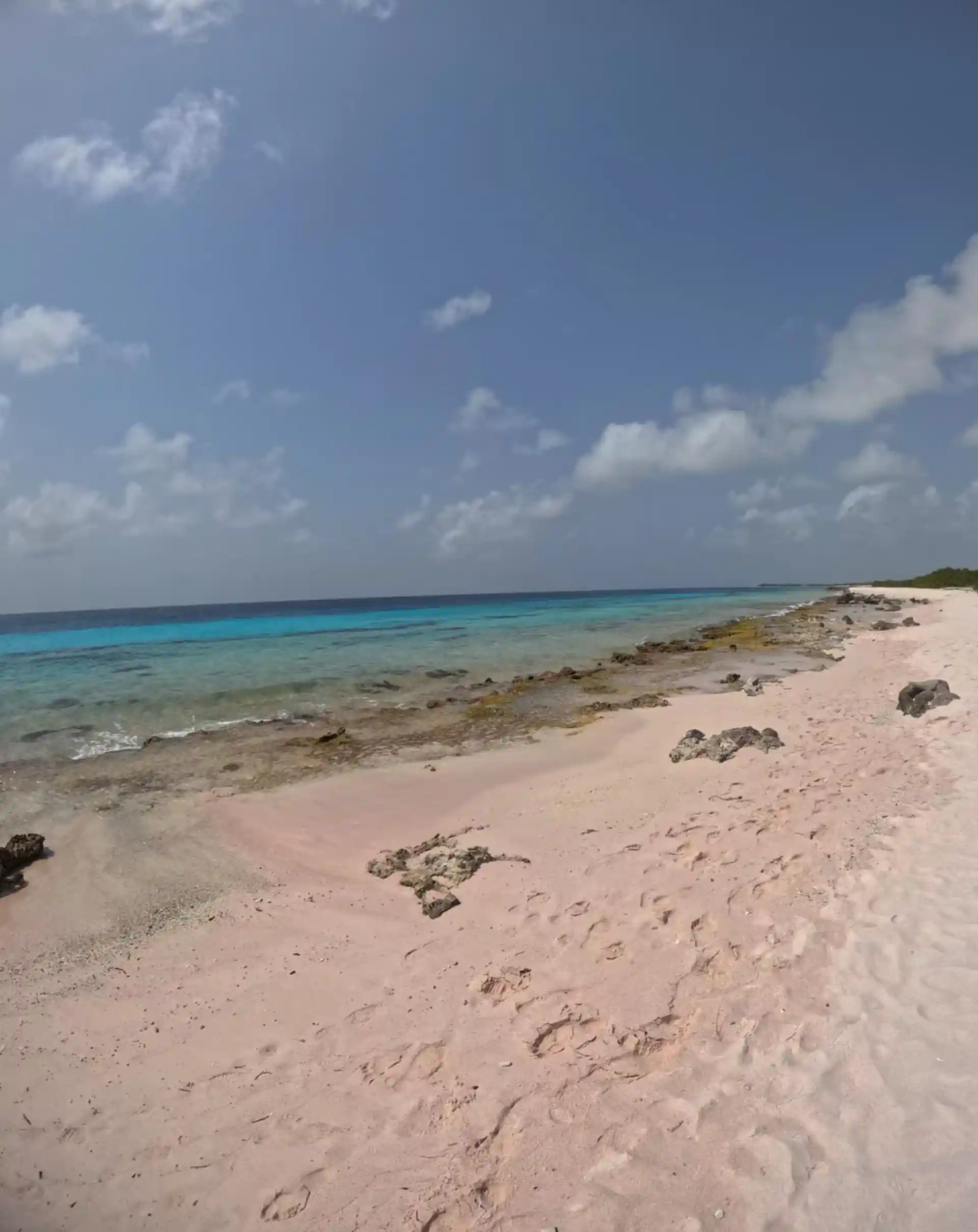 Dive site photo