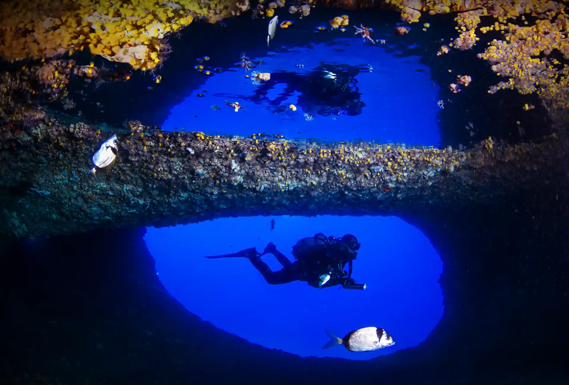 Dive site photo