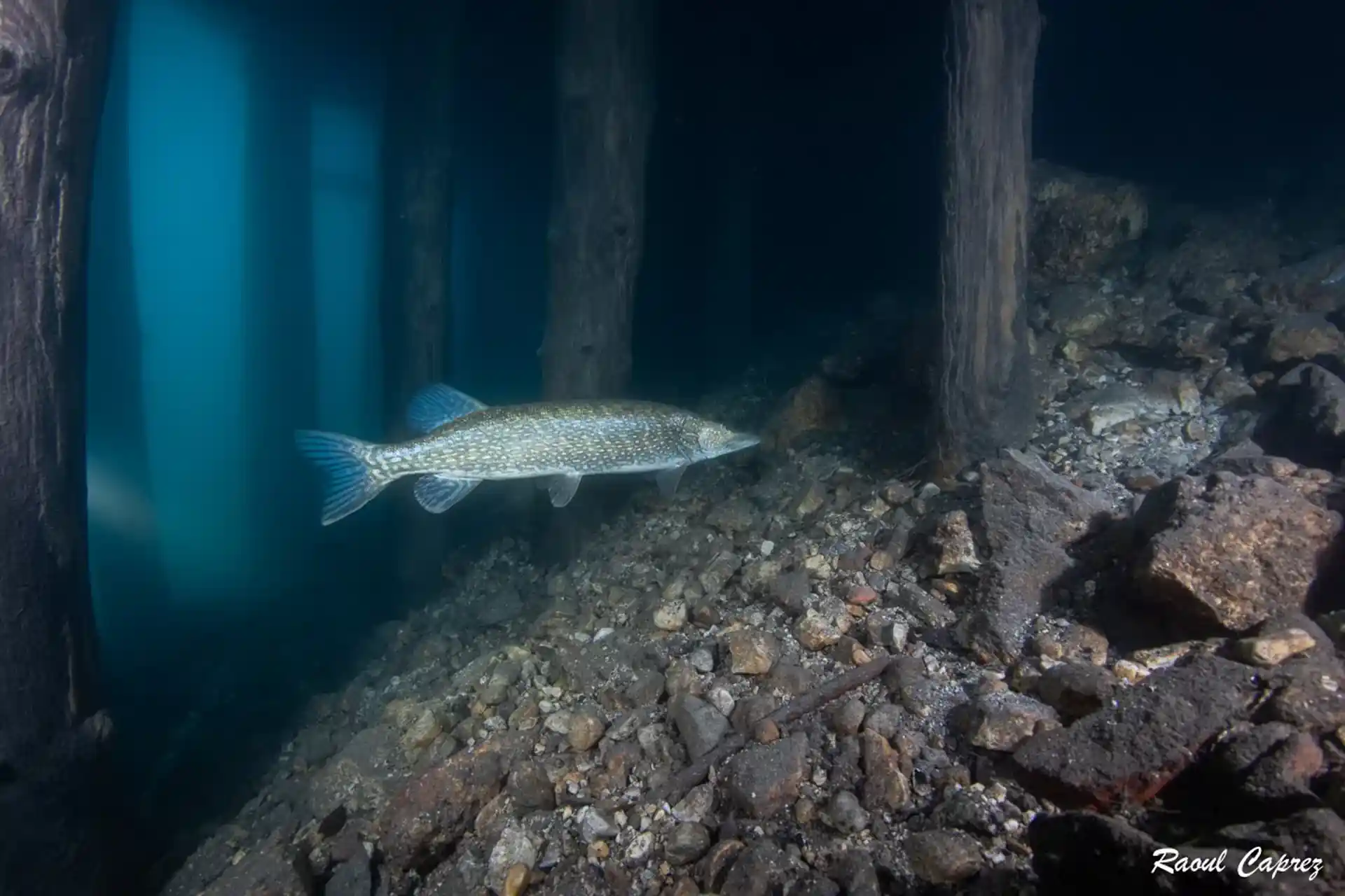 Dive site photo