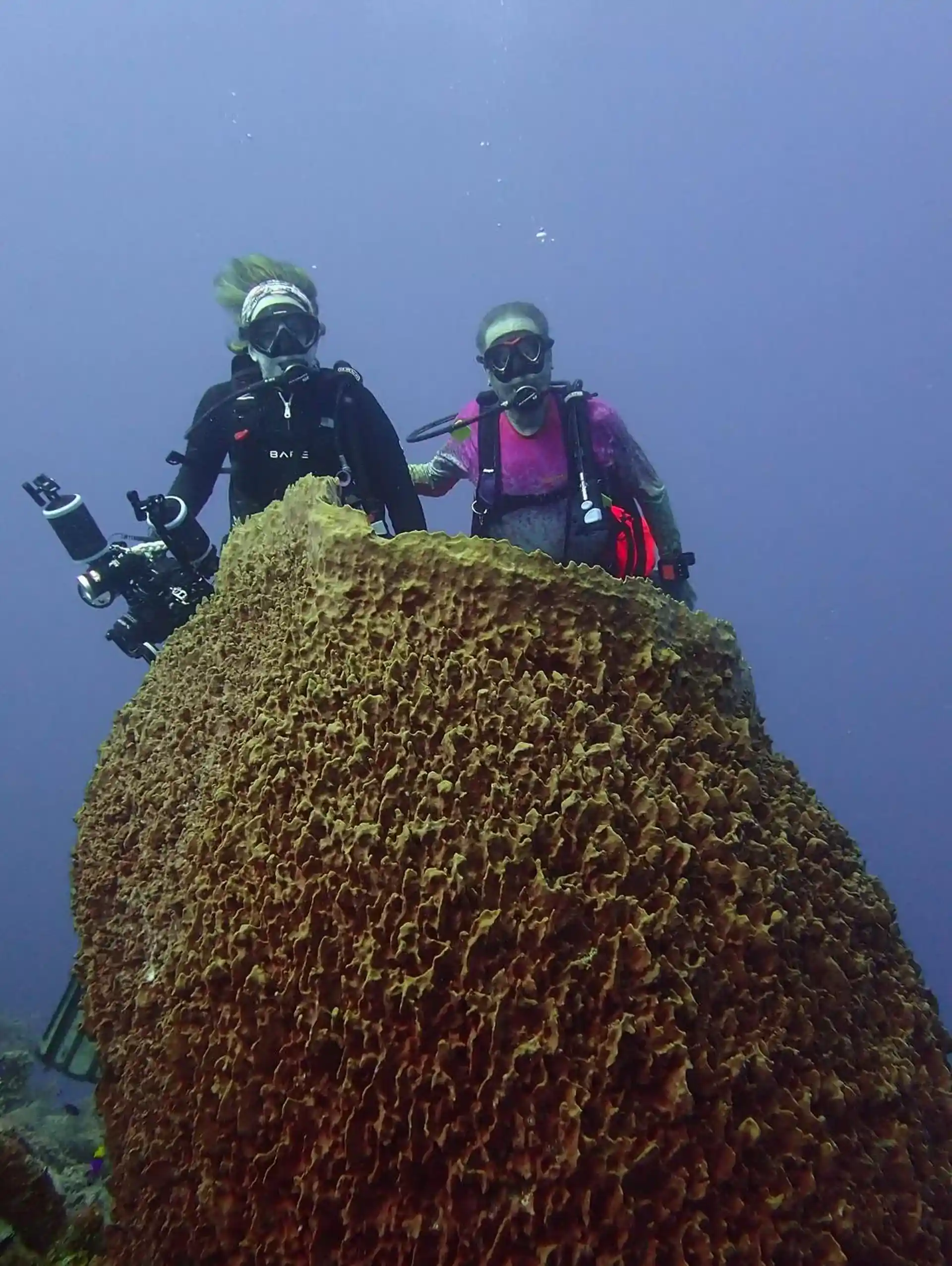 Dive shop photo