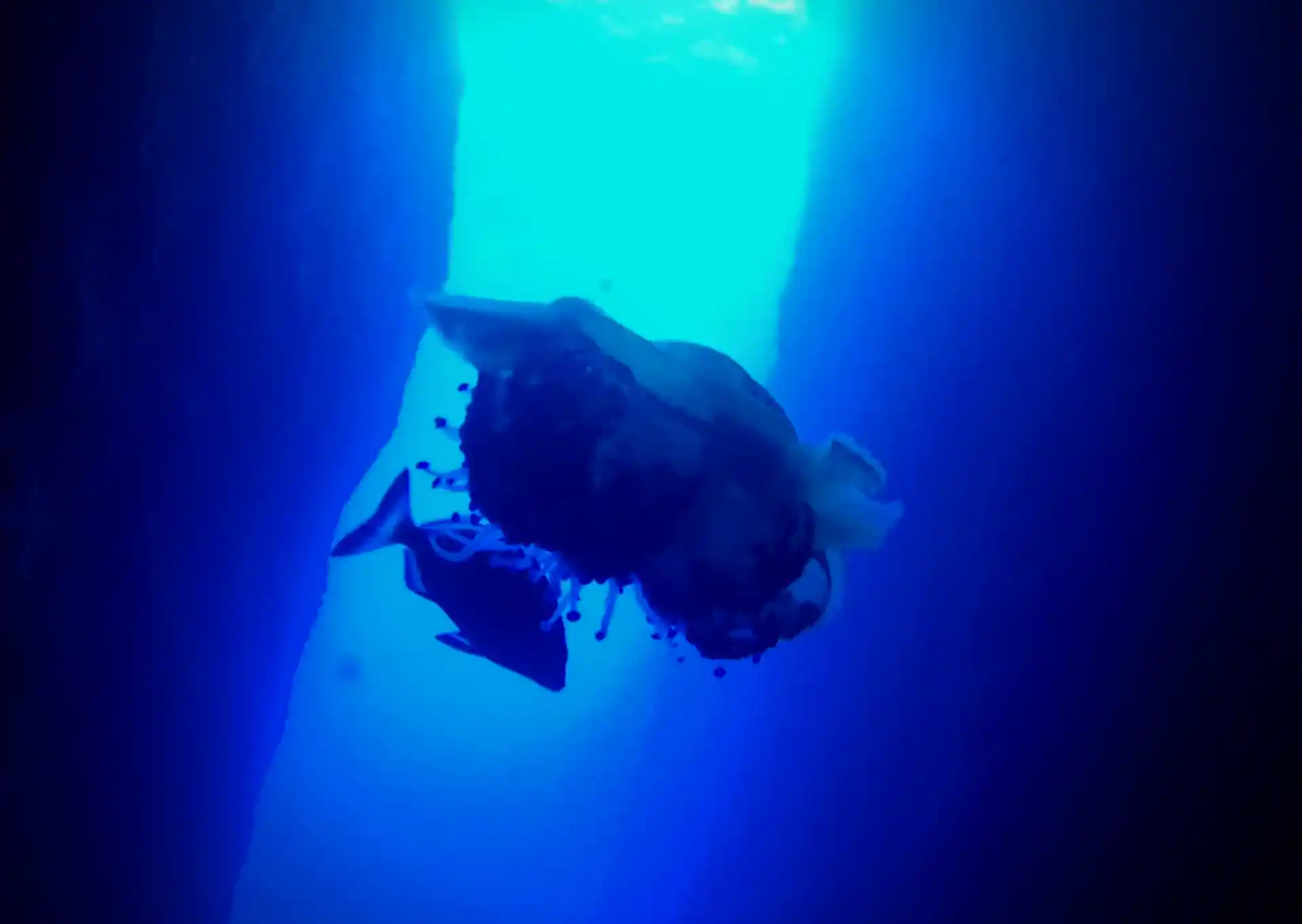 Foto des Tauchplatzes