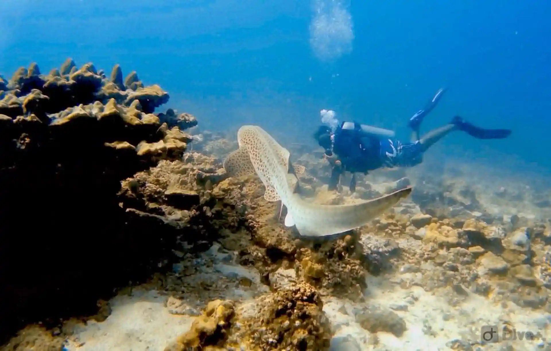 Foto de la actividad