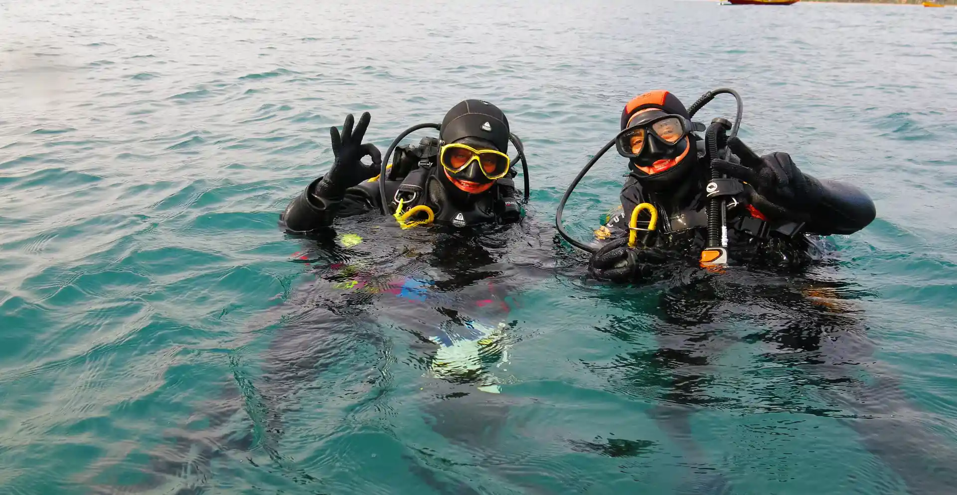 Photo de l'activité