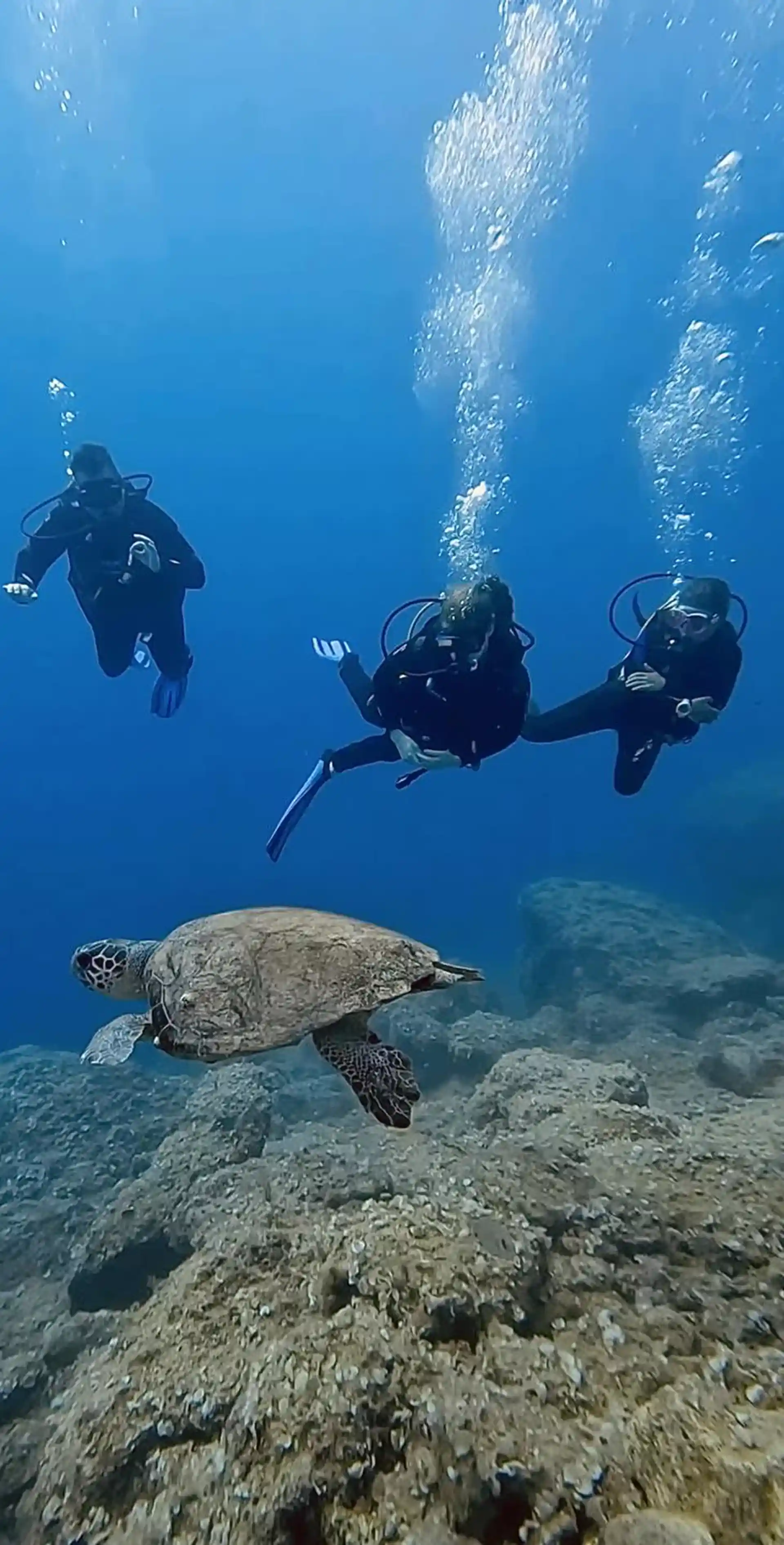 Dive site photo