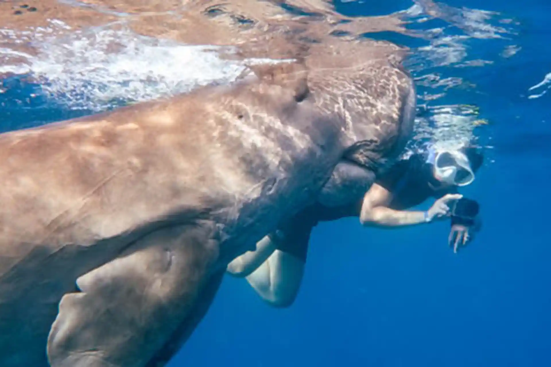 Photo de l'activité