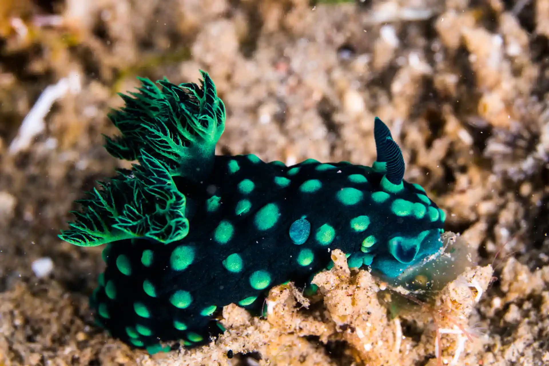 Foto des Tauchplatzes